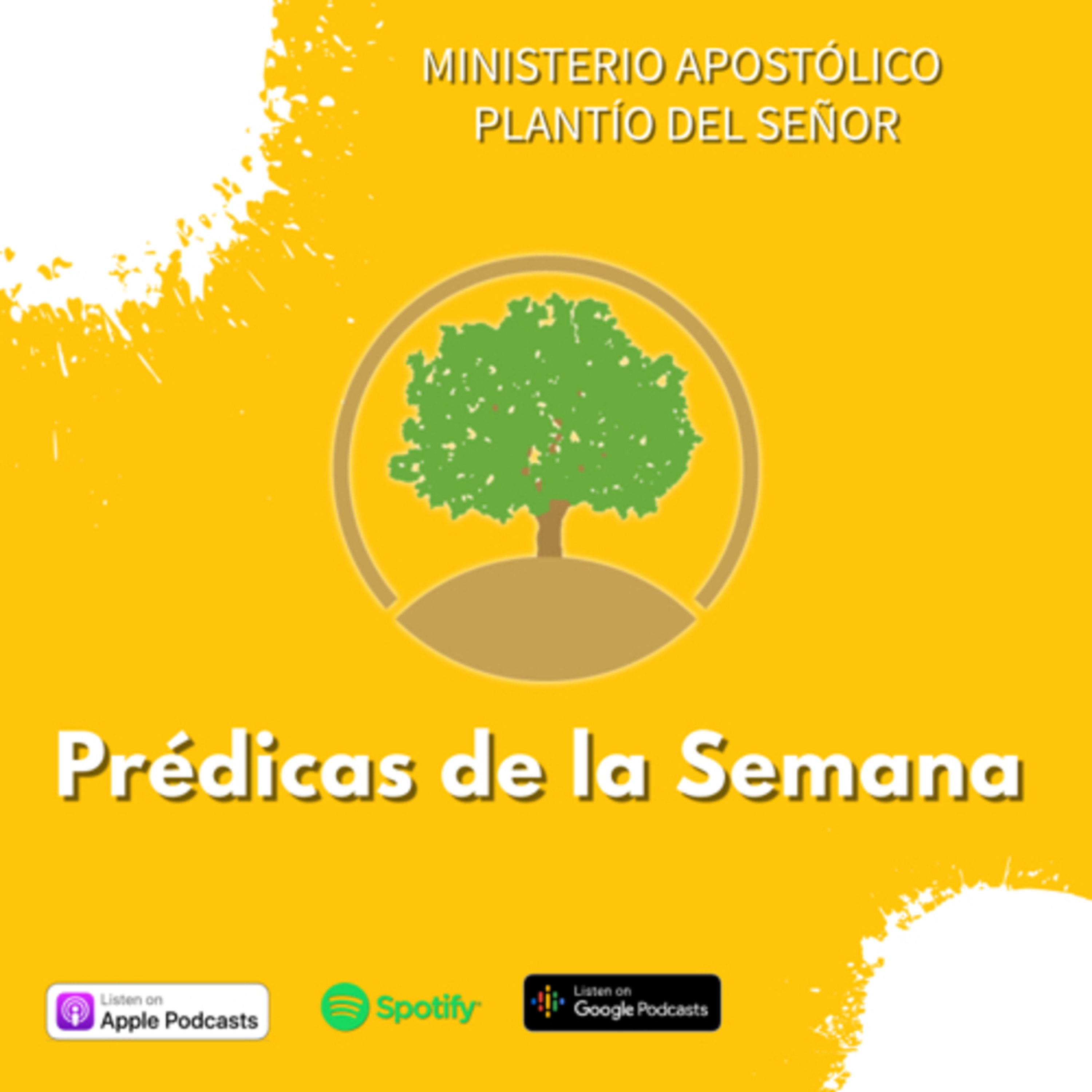 Radio Plantio del Señor
