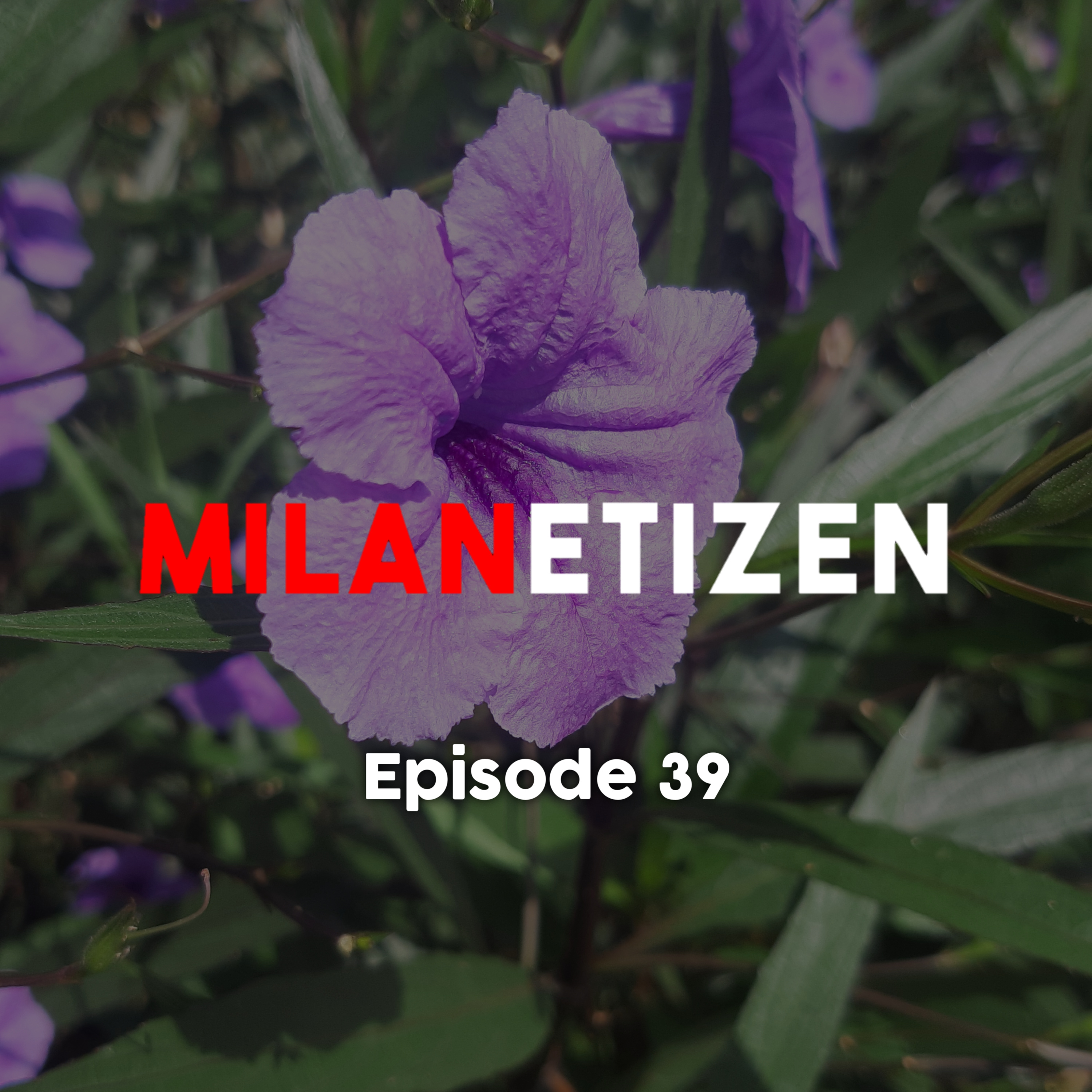 Podcast Milanetizen