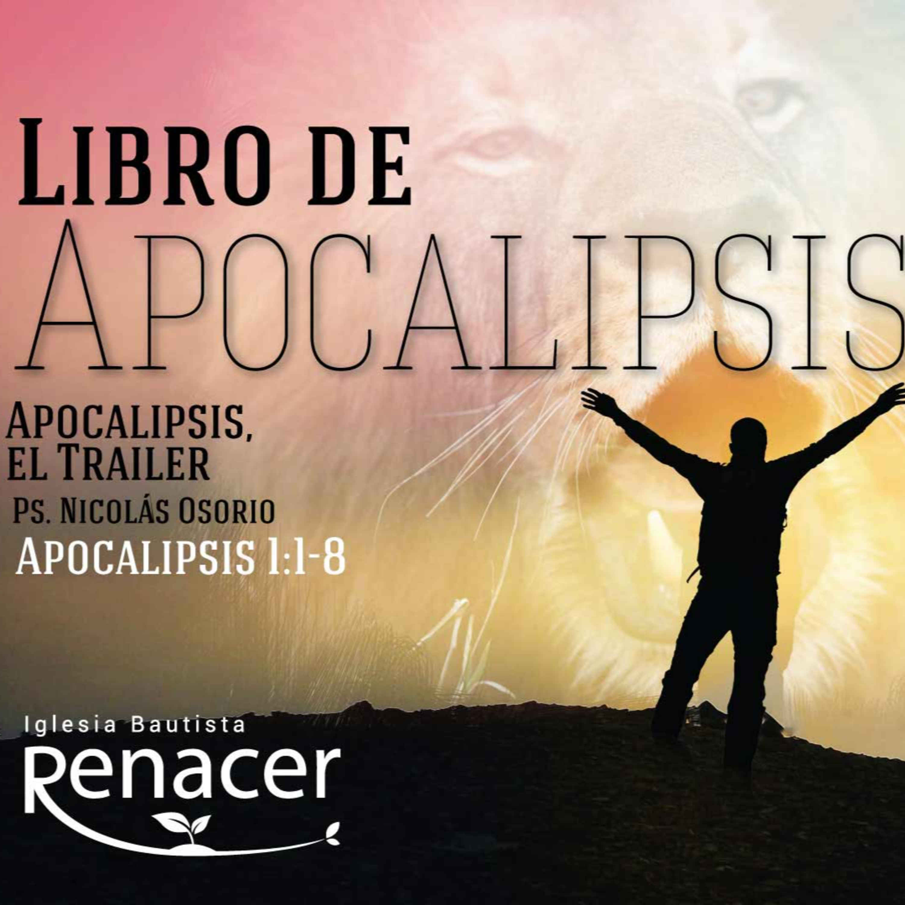 Iglesia Bautista Renacer Bogotá
