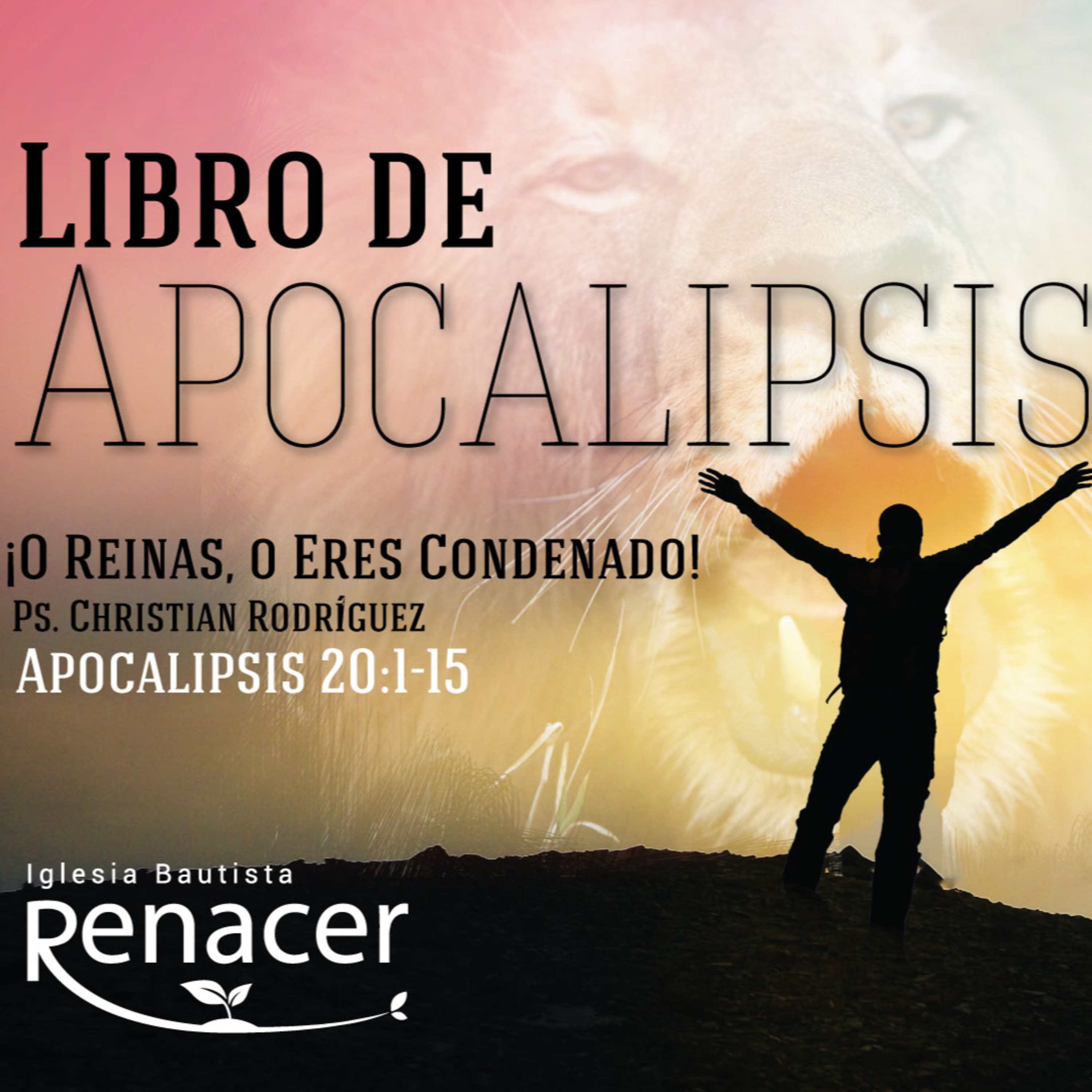 Iglesia Bautista Renacer Bogotá