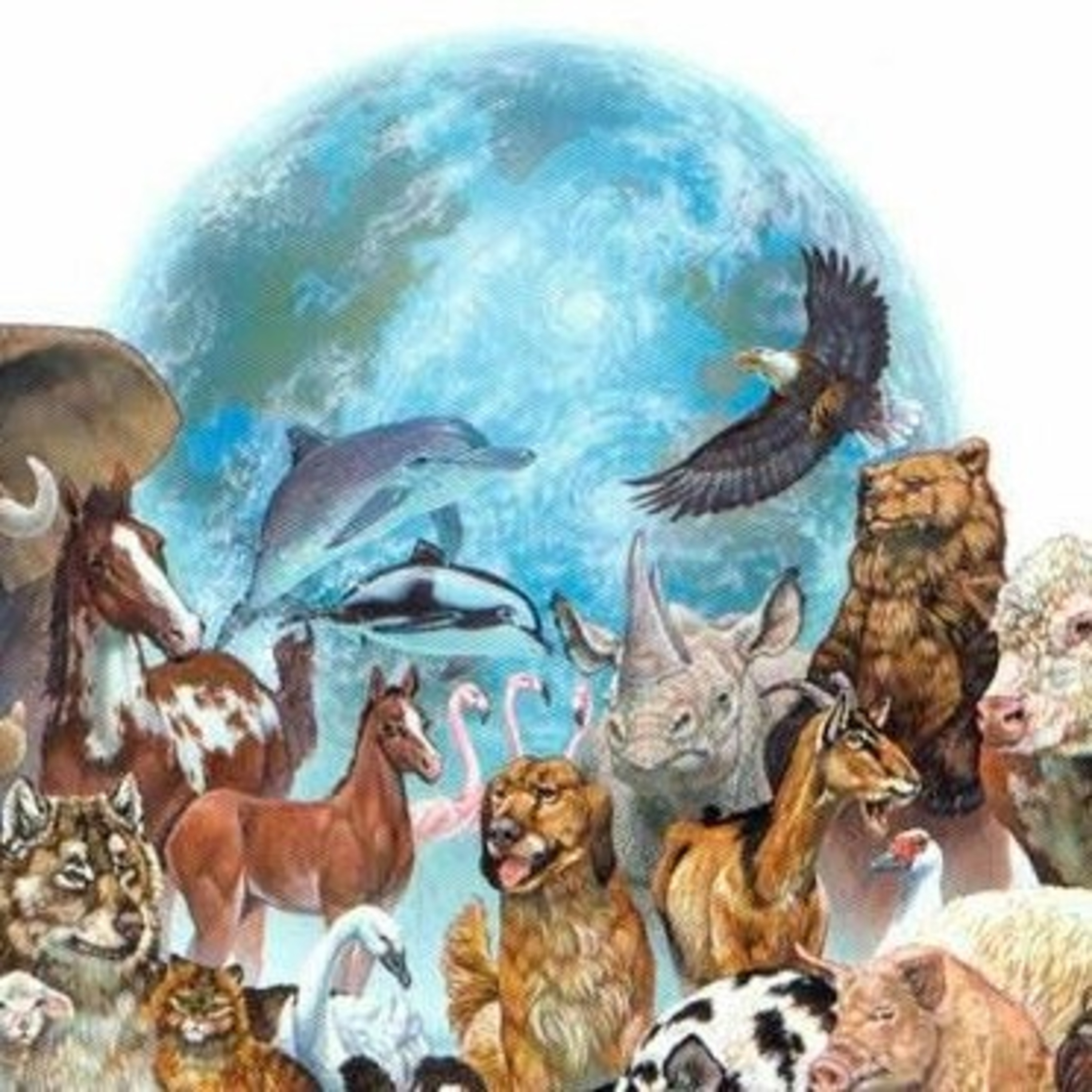 Diversidad animal