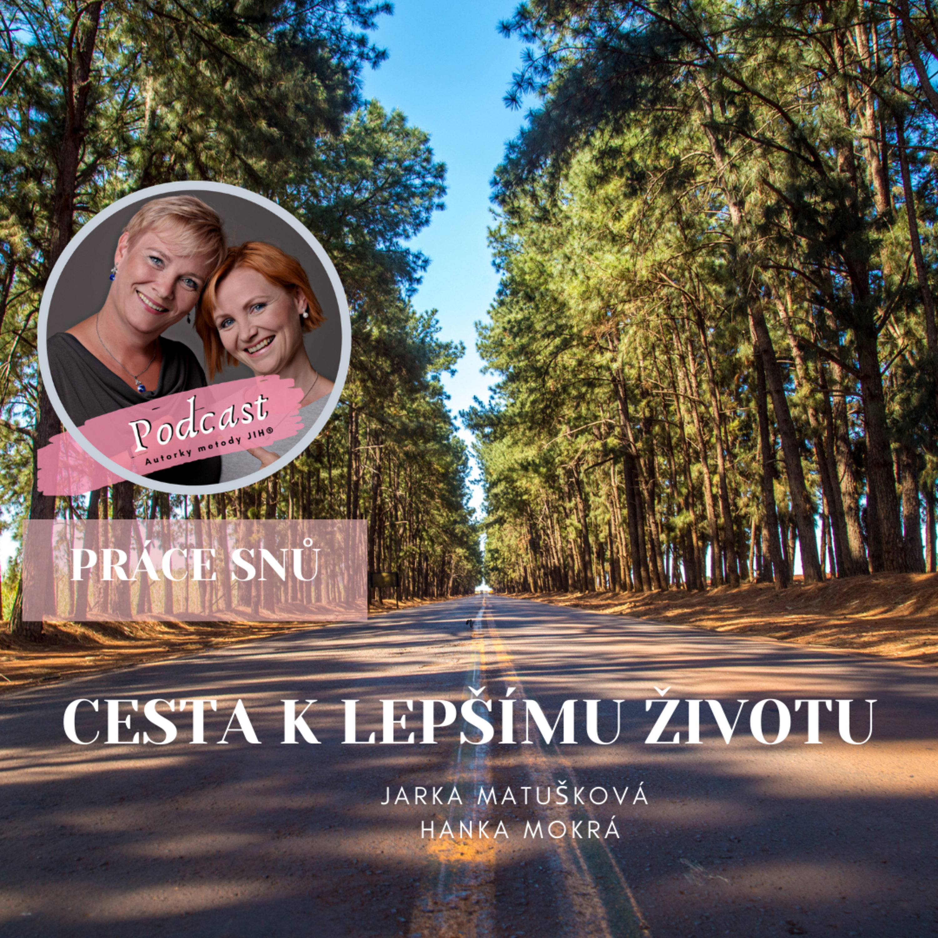 CESTA K LEPŠÍMU ŽIVOTU - PRÁCE SNŮ