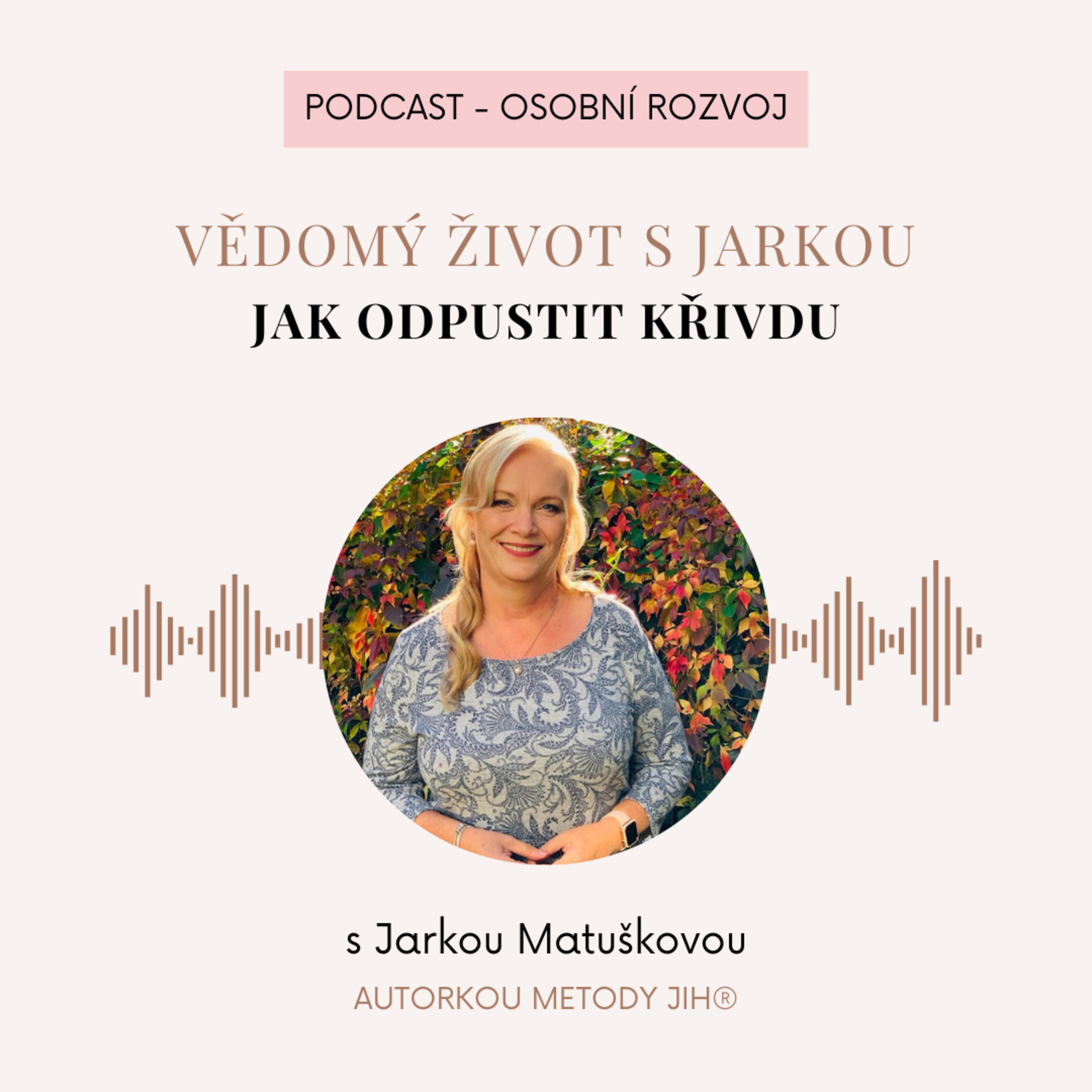 Jak odpustit křivdu episode artwork