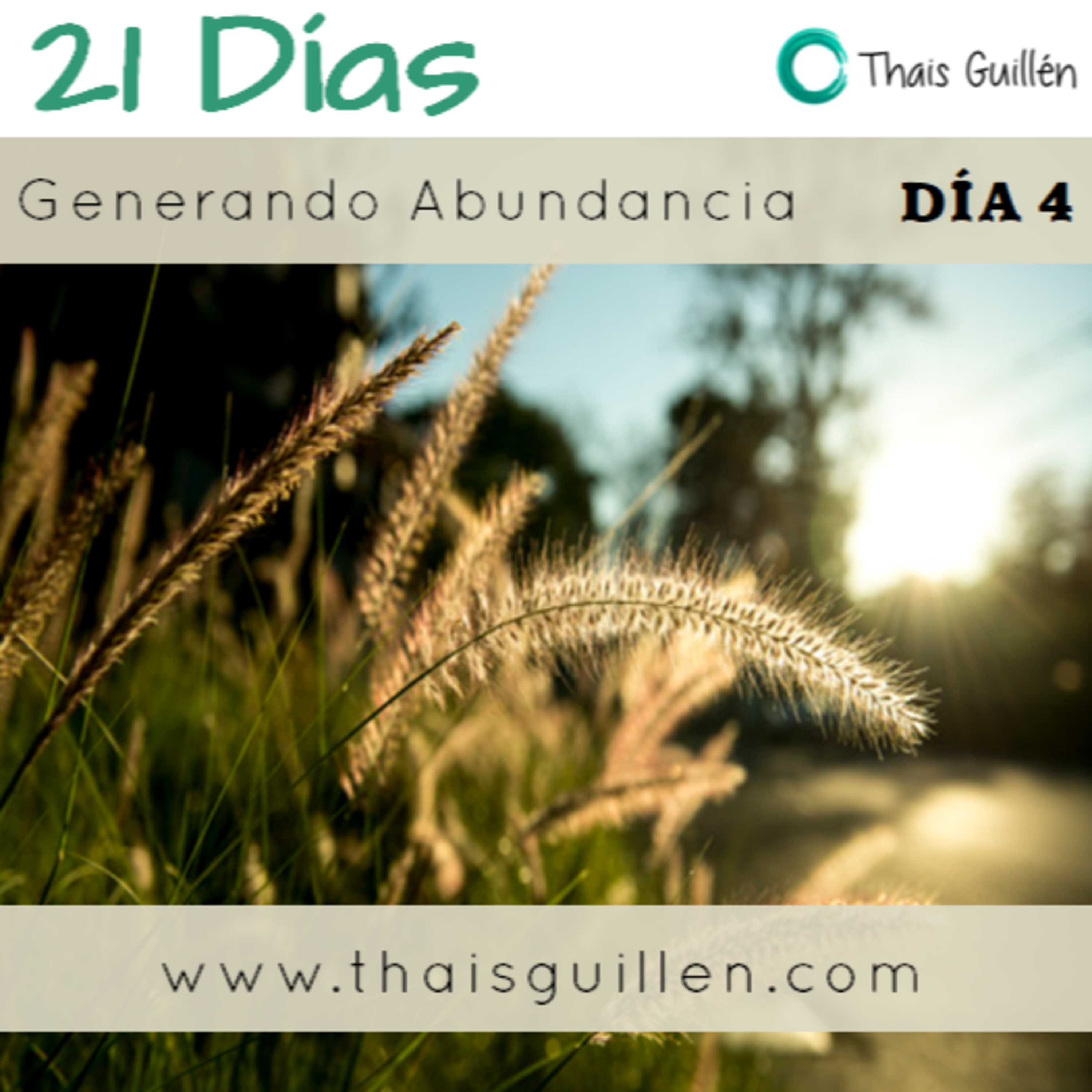 Reto 21 días: Día 4 Generando abundancia