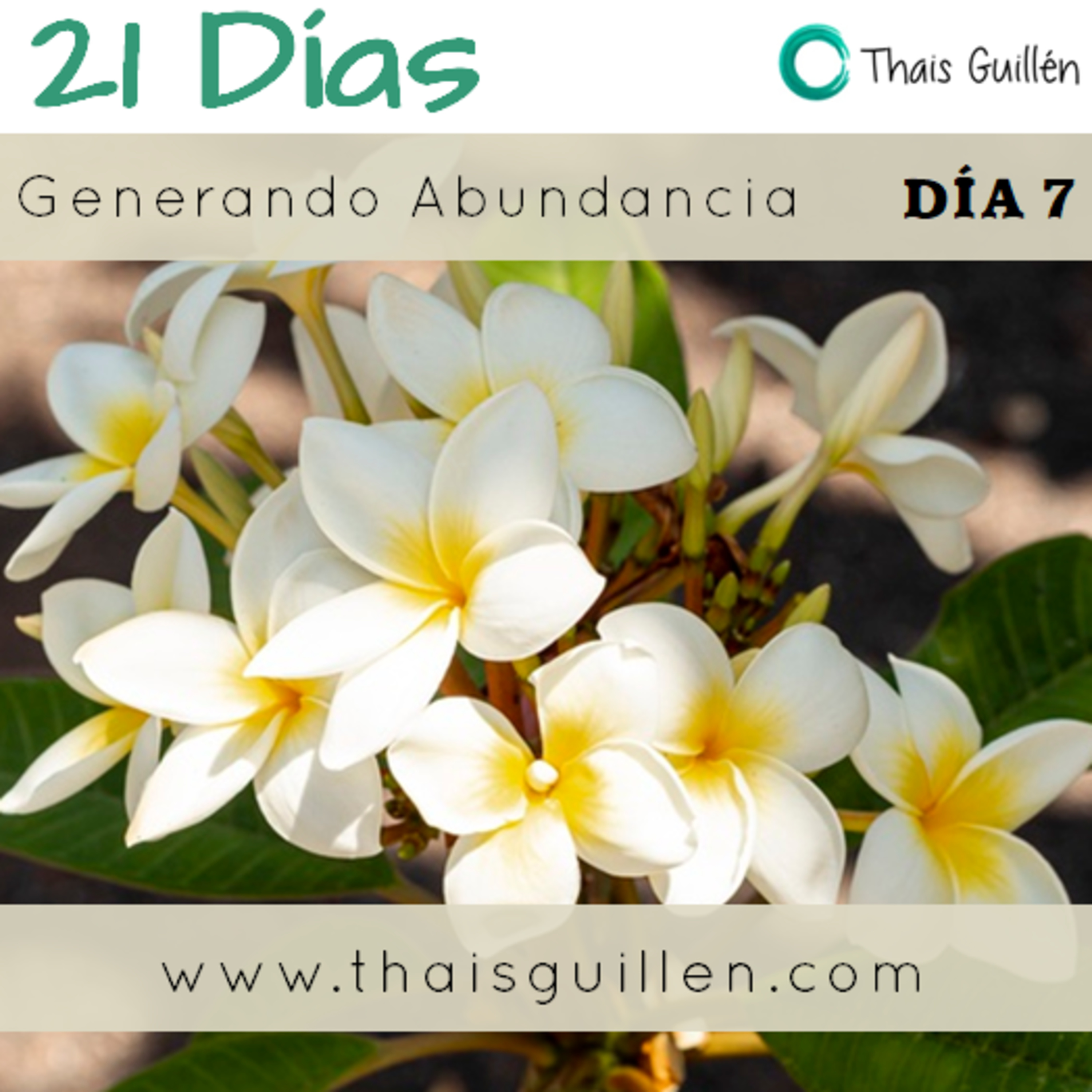 Podcast de las Mariposas