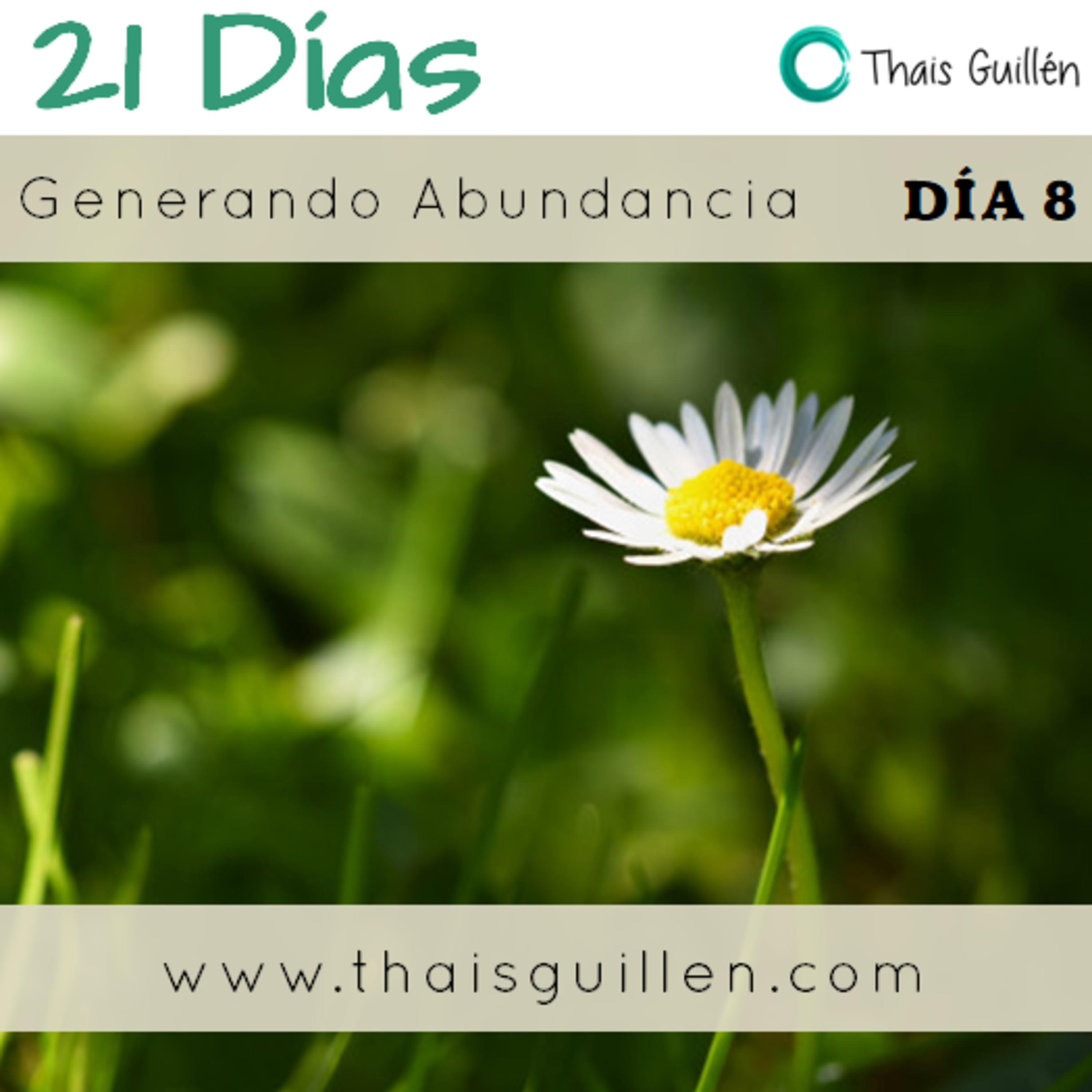 Reto 21 días: Día 8 Generando abundancia