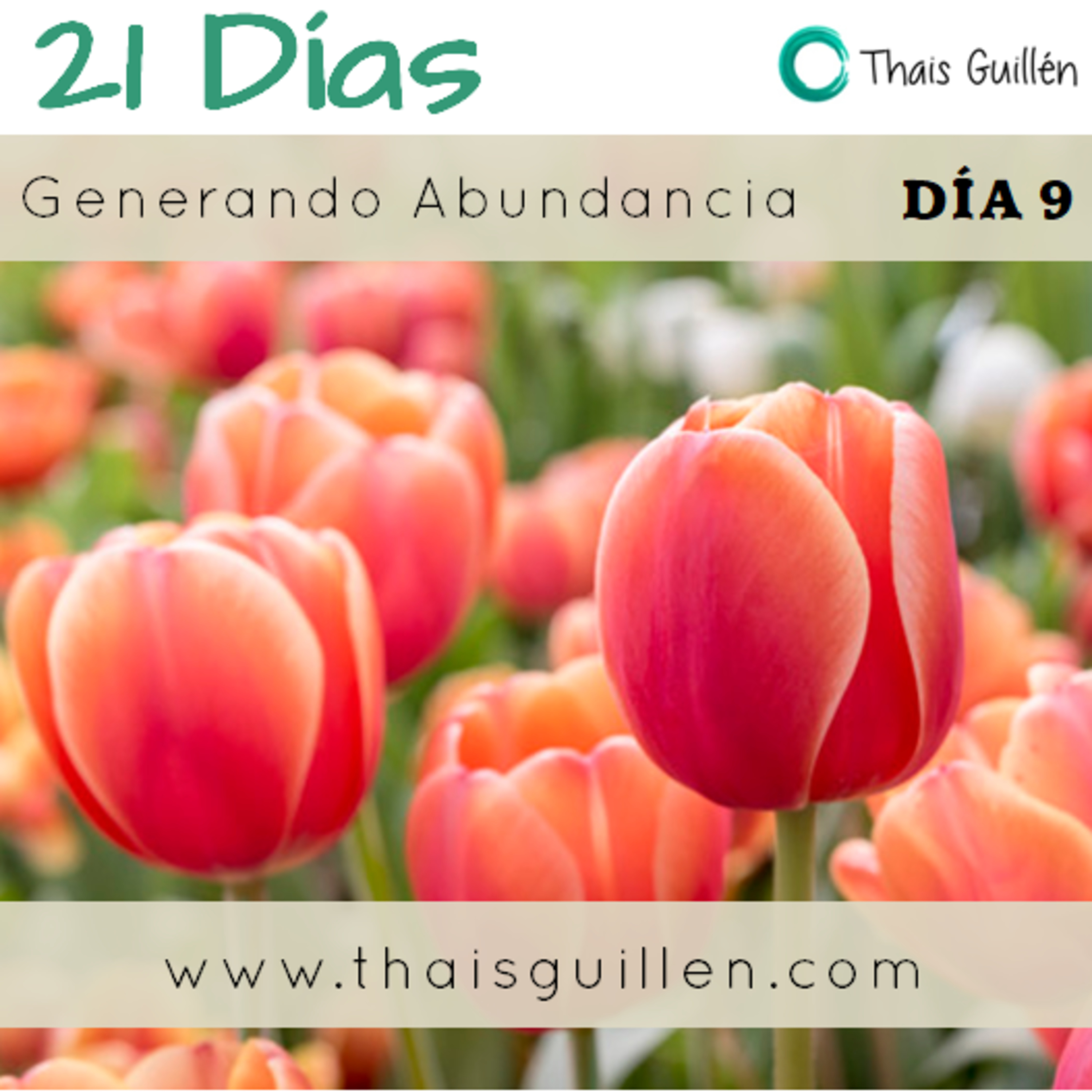 Reto 21 días : Día 9 Generando abundancia