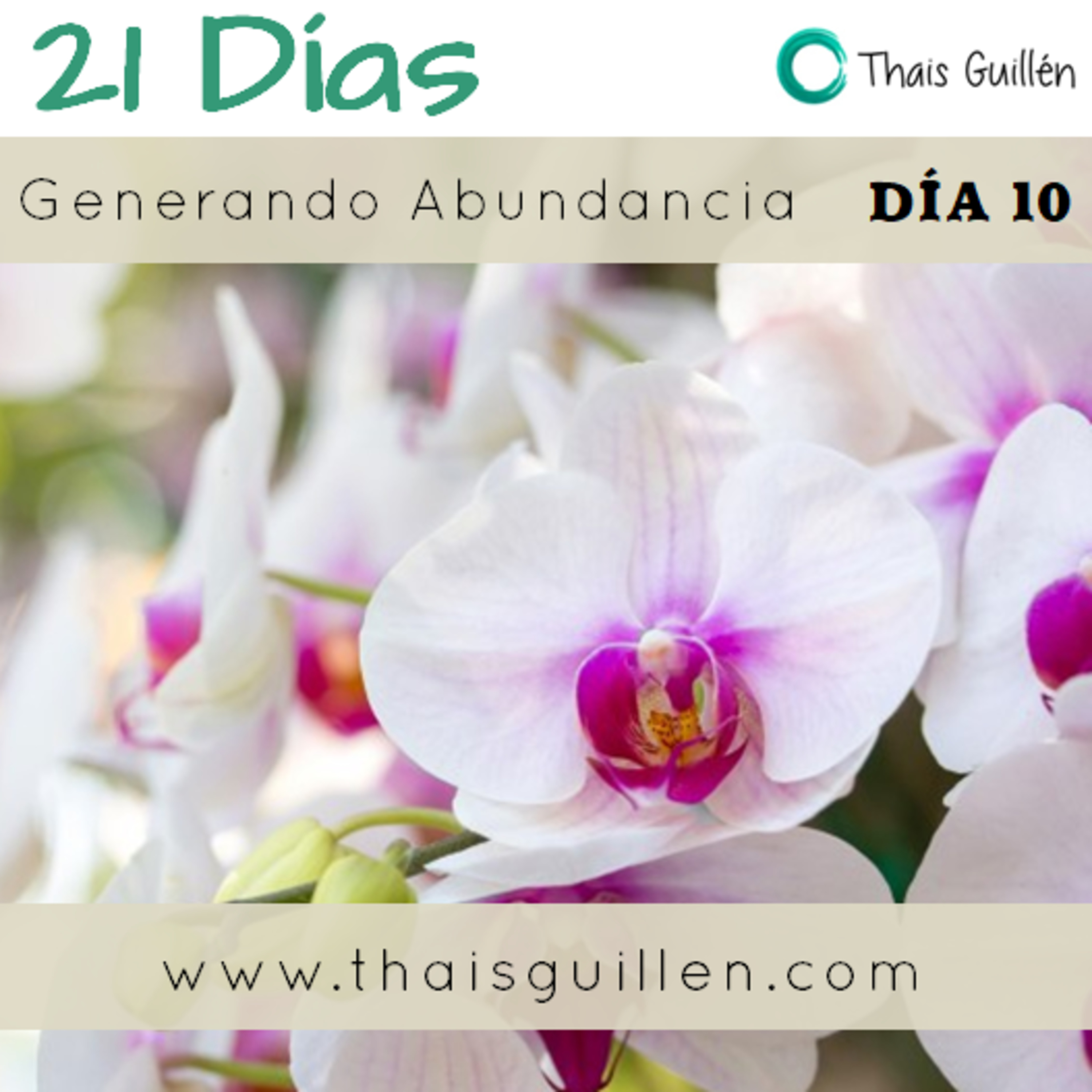 Podcast de las Mariposas