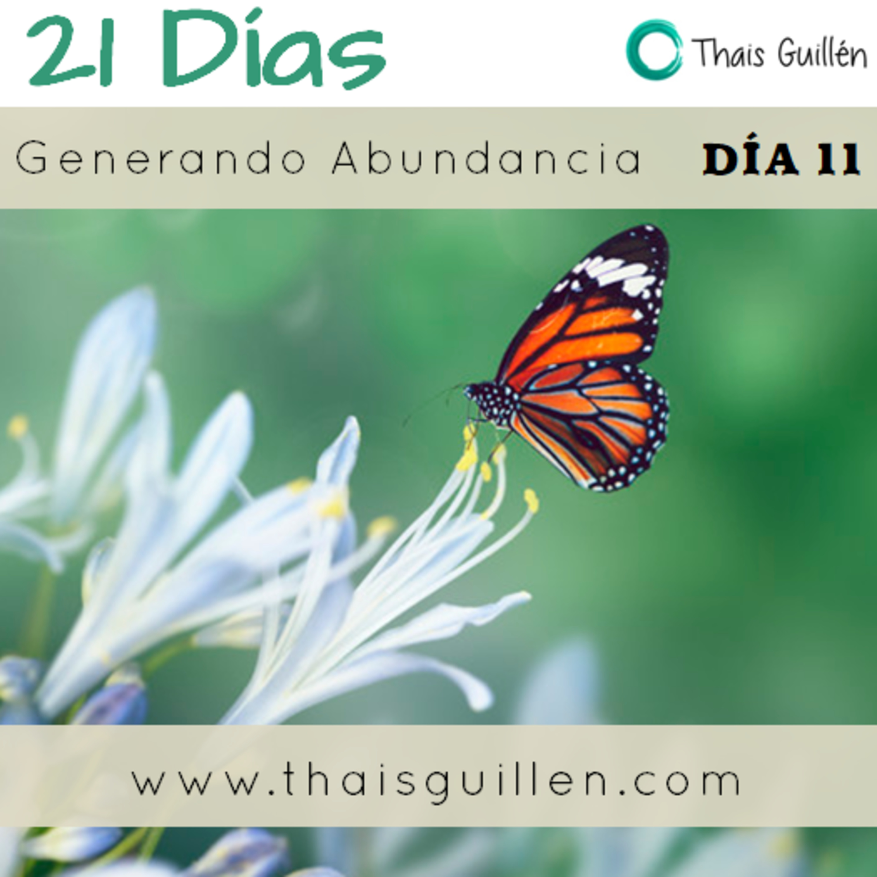 Podcast de las Mariposas