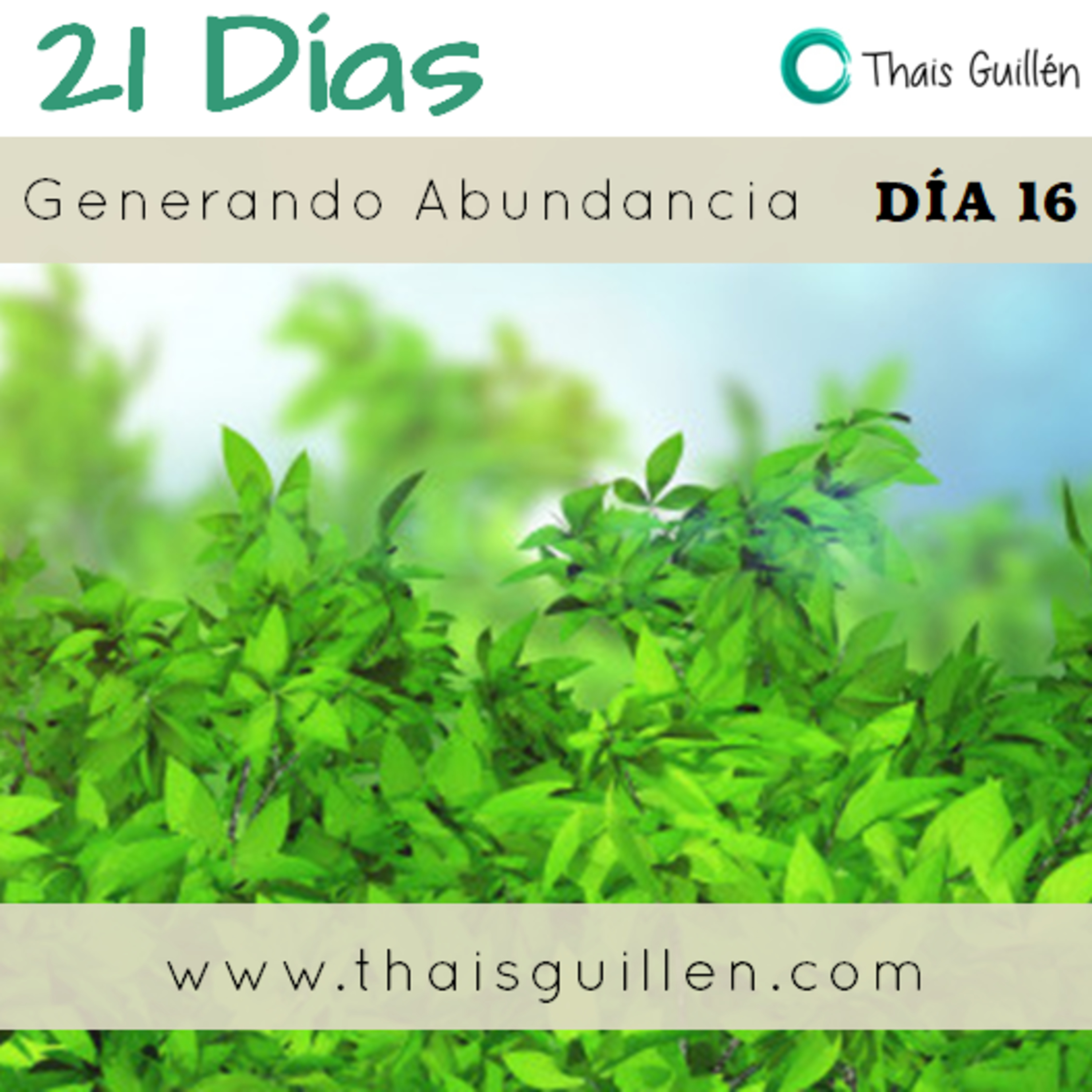 Reto 21 días: Día 16 Generando abundancia