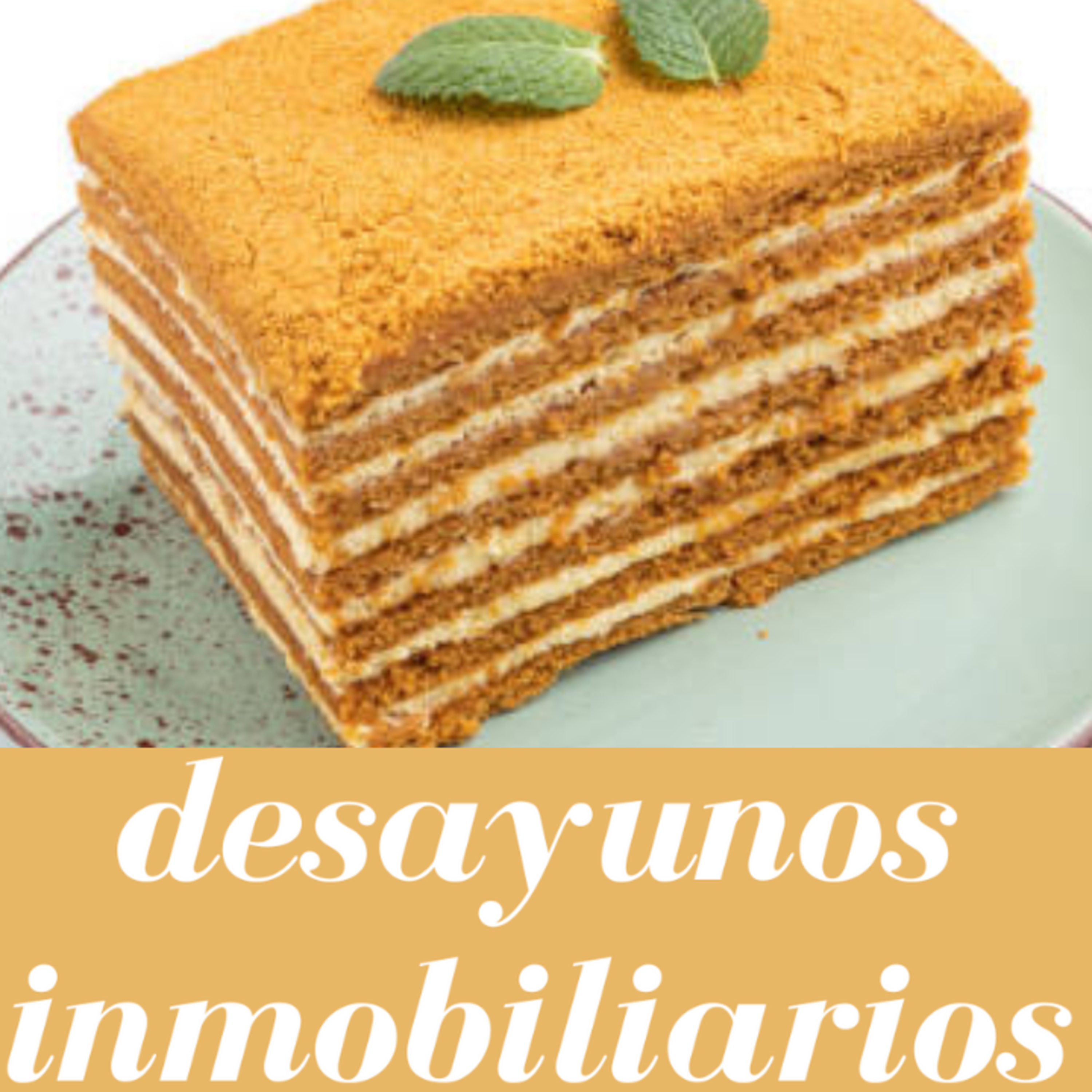 Portada de ABOGADO DE INMOBILIARIO - JOSE MARIA LUQUE ORTIZ