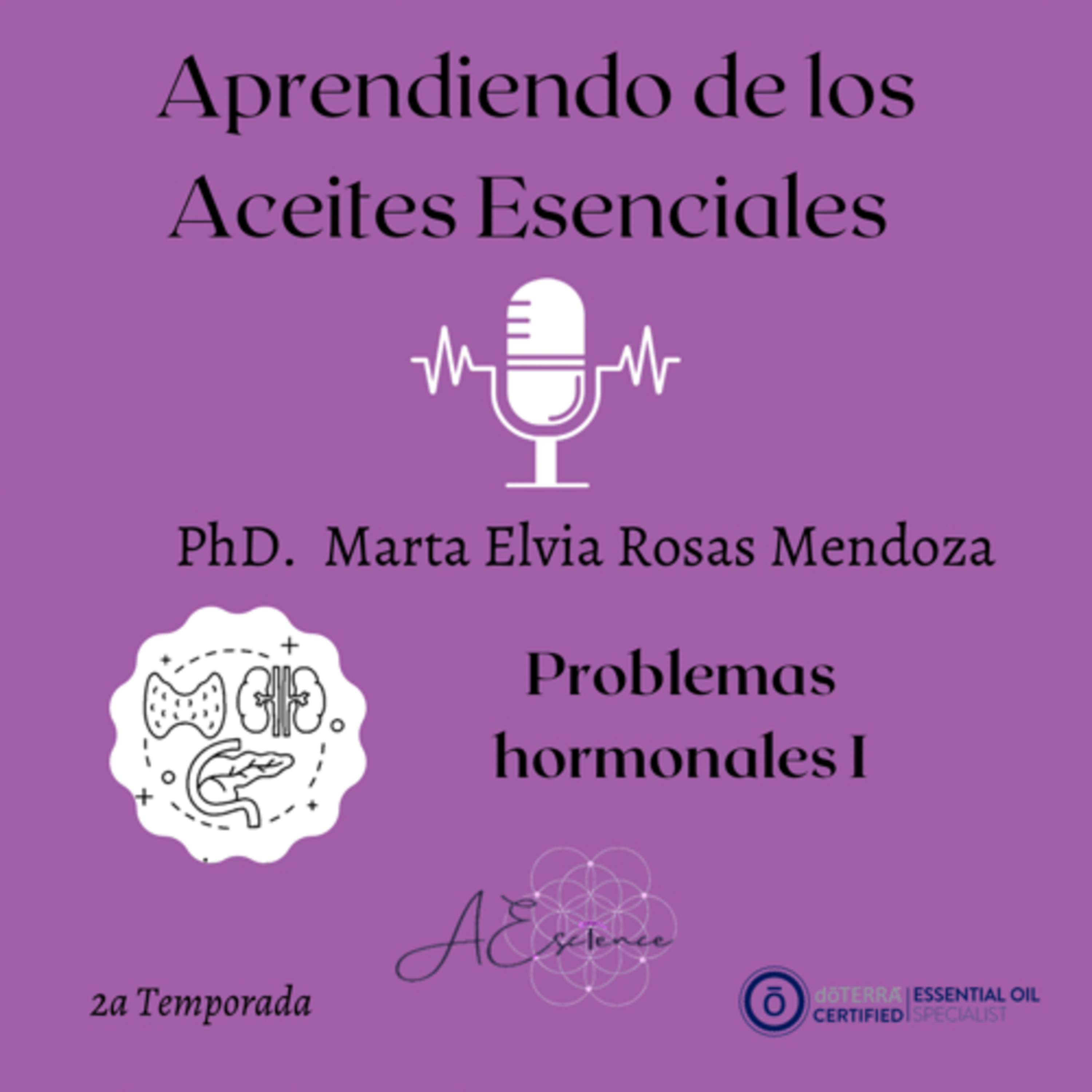 Aprendiendo de los aceites esenciales