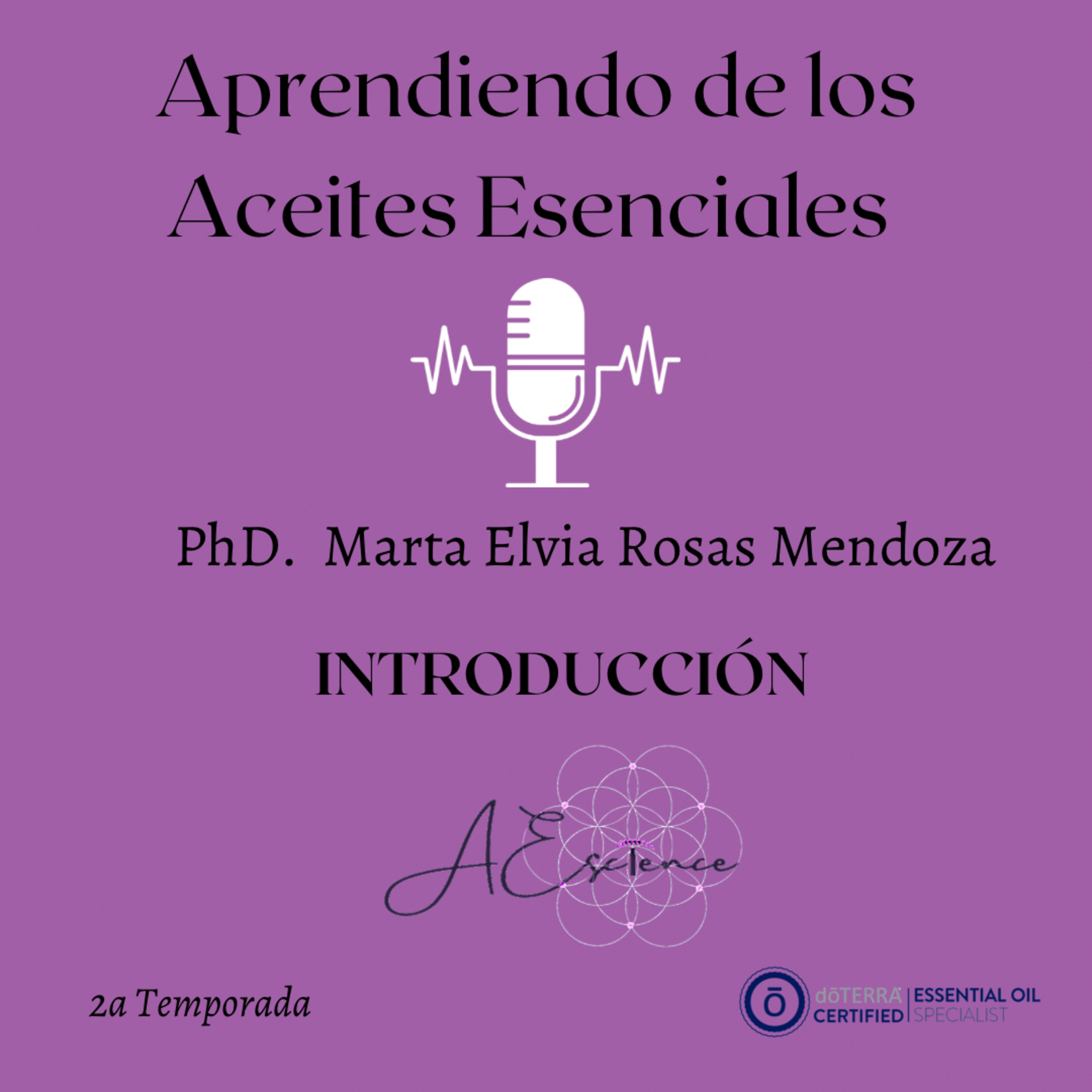 Aprendiendo de los aceites esenciales