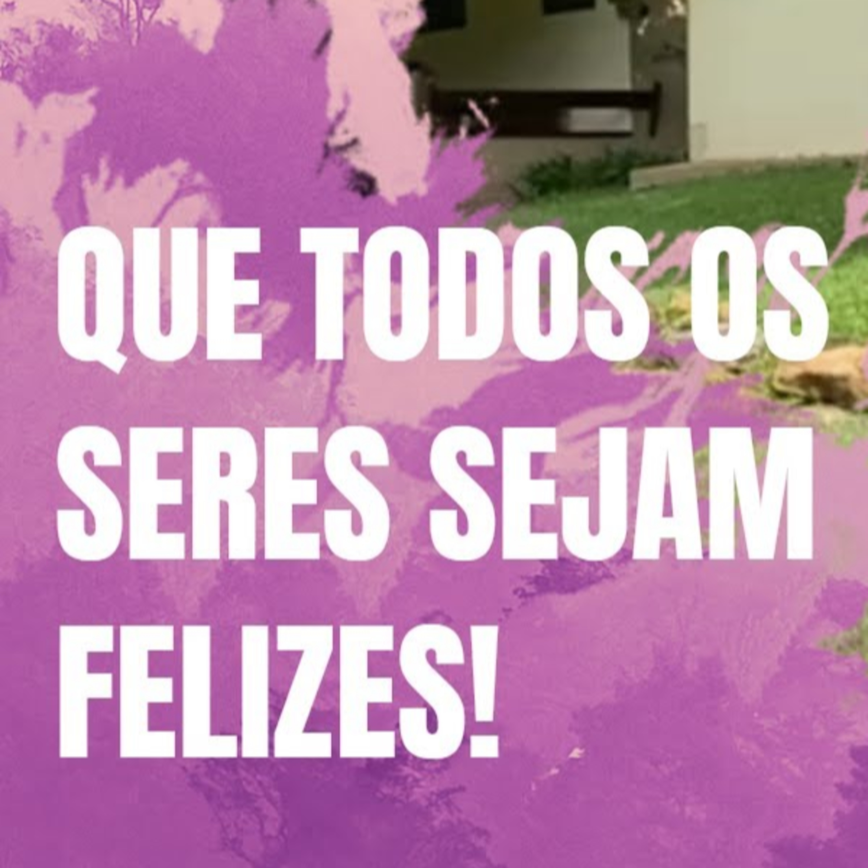 Yoga com Leandro Castello Branco