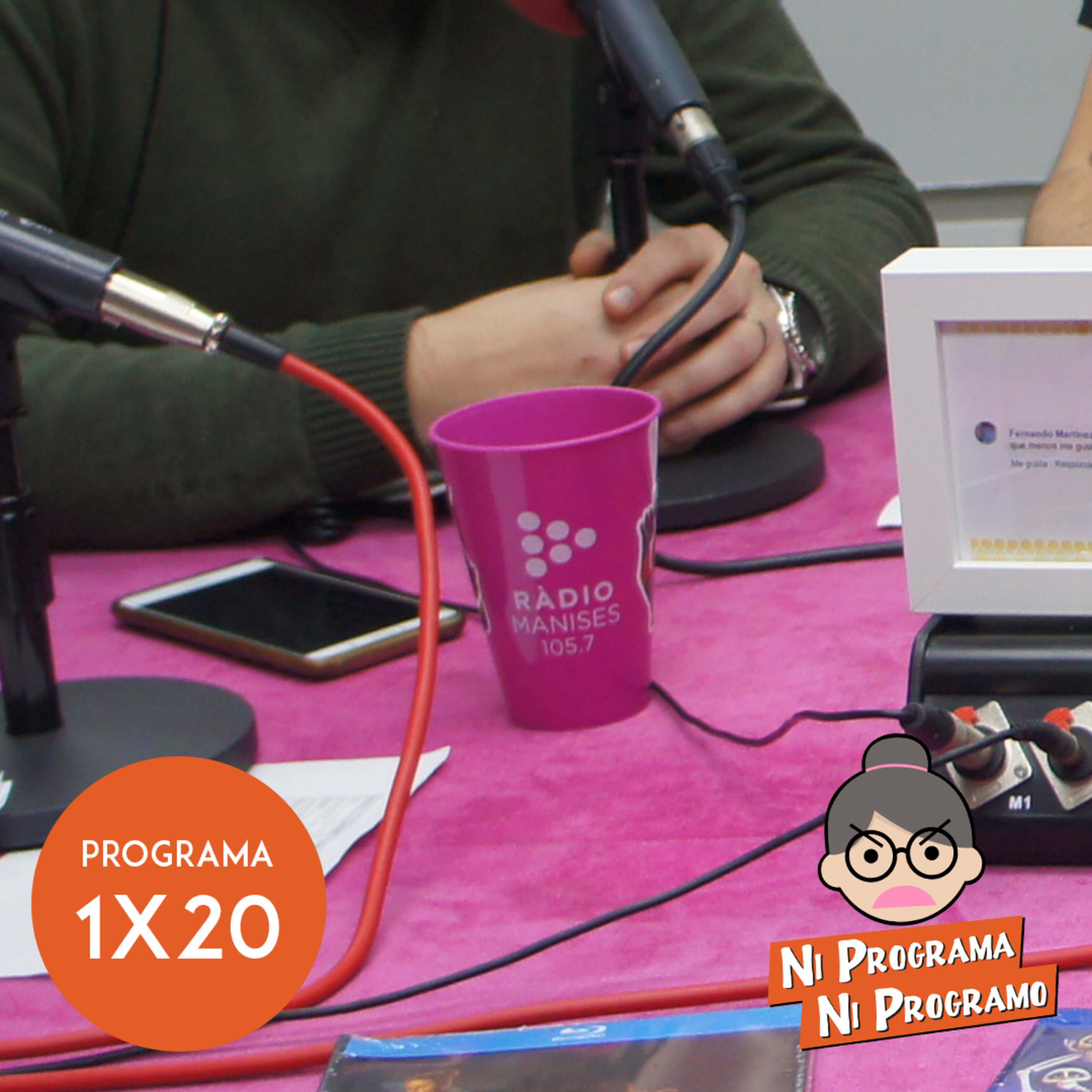 Ni programa ni programo