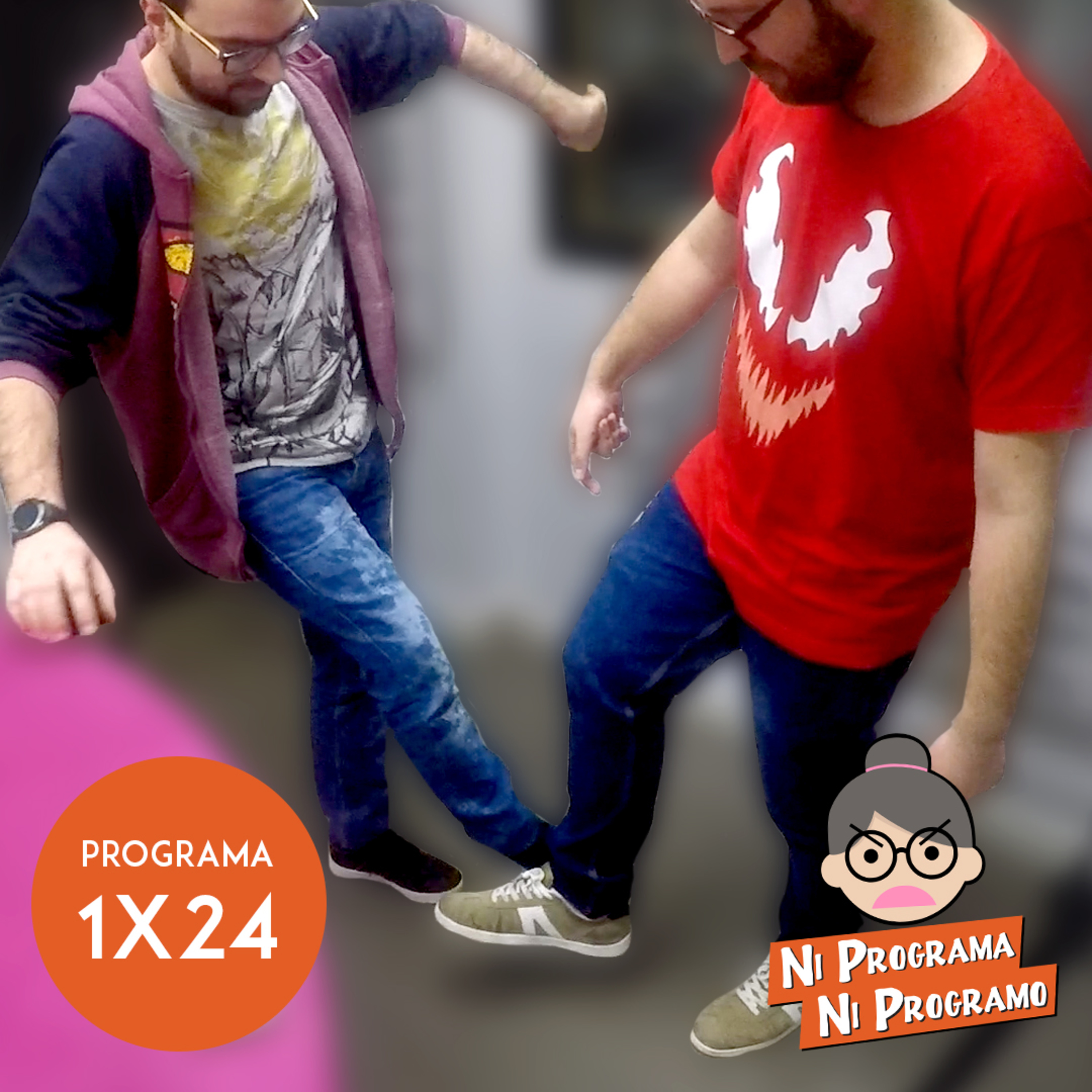 Ni programa ni programo