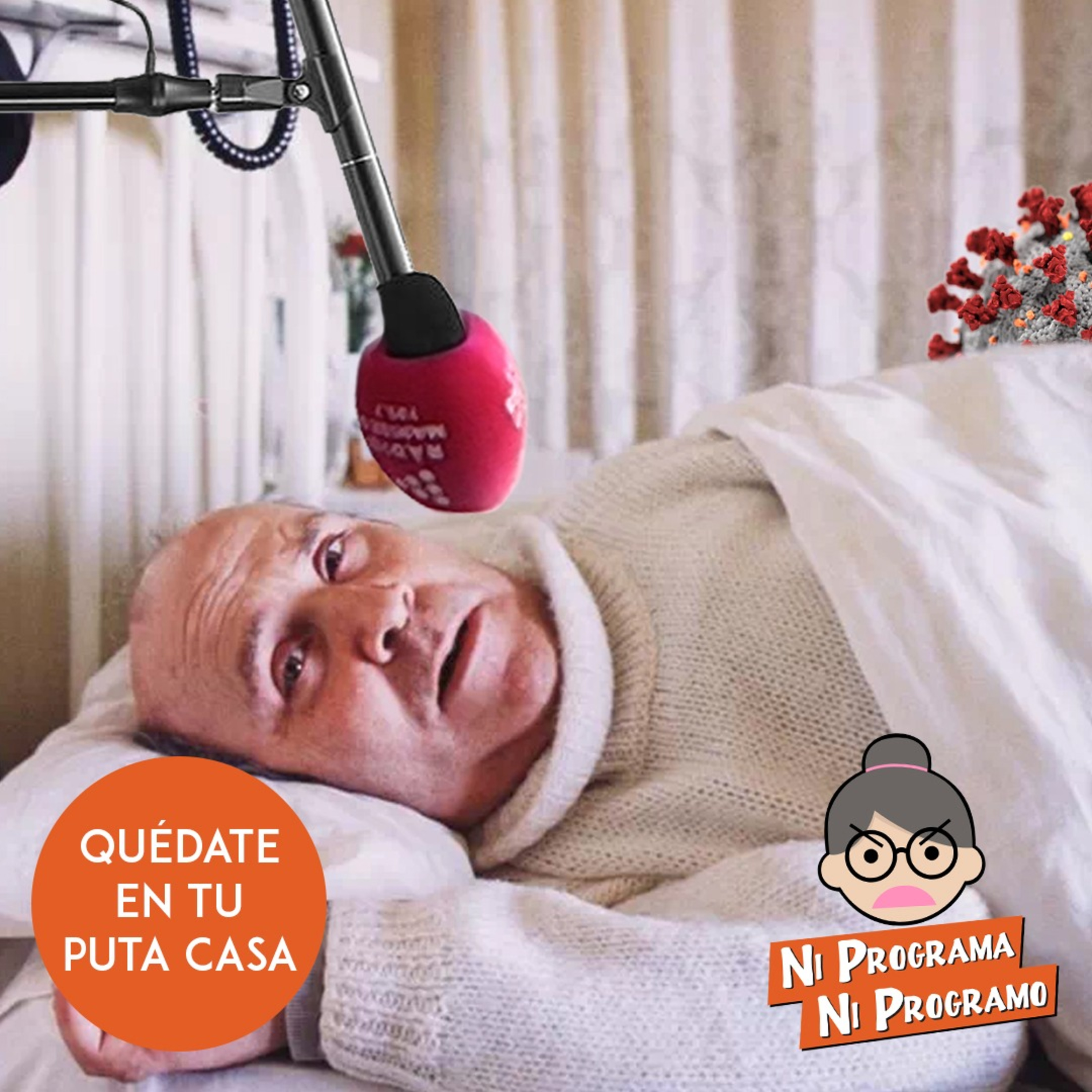 Ni programa ni programo