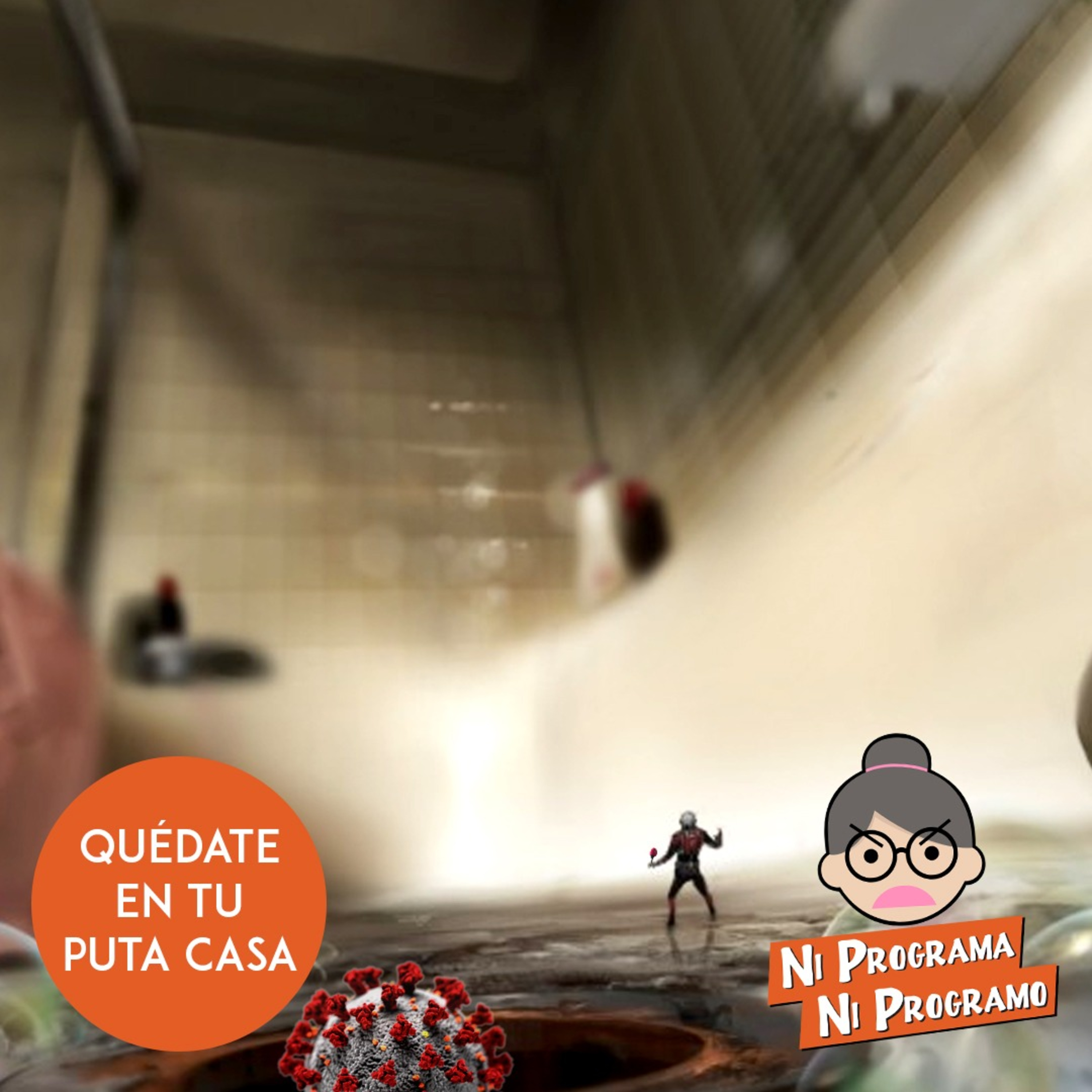Ni programa ni programo