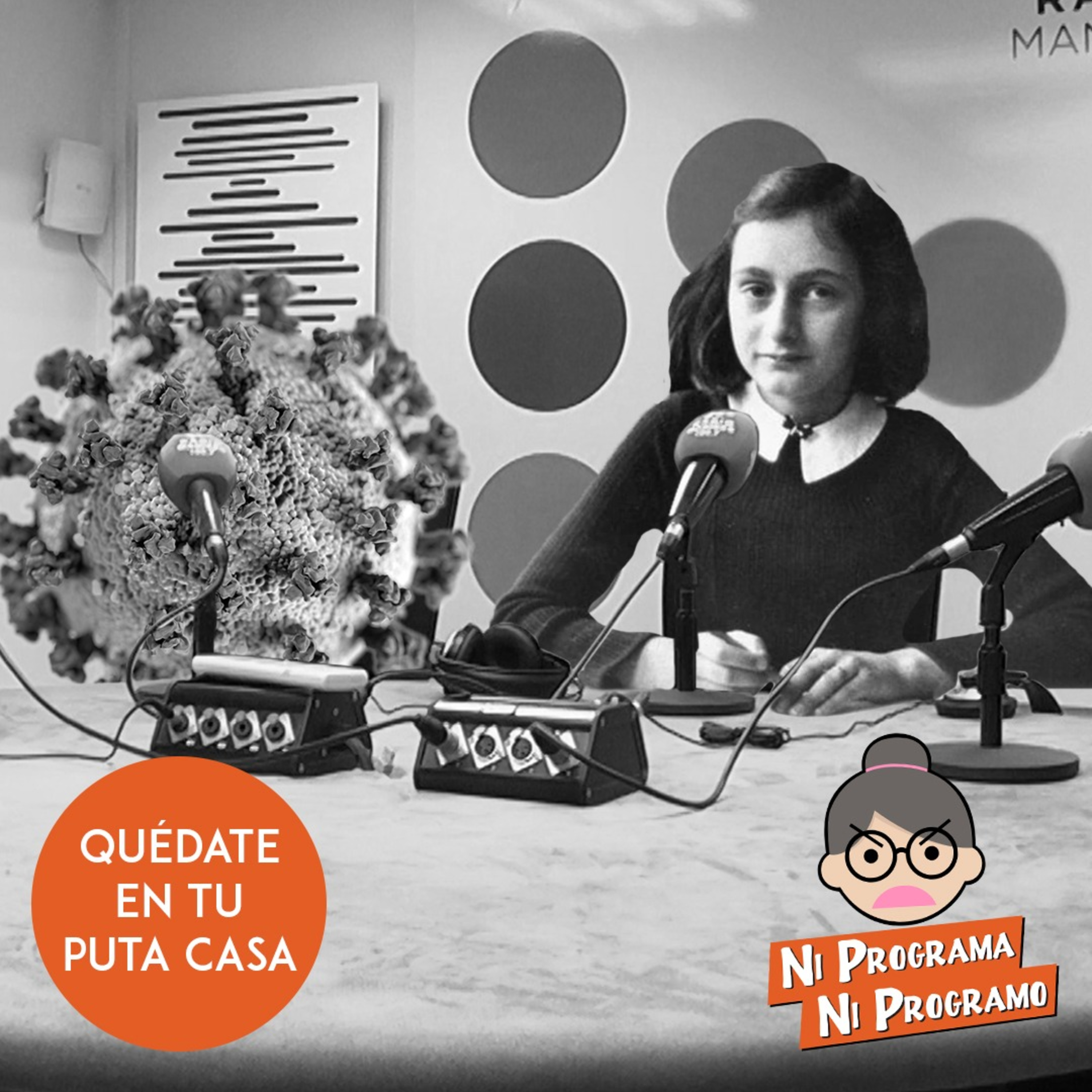 Ni programa ni programo