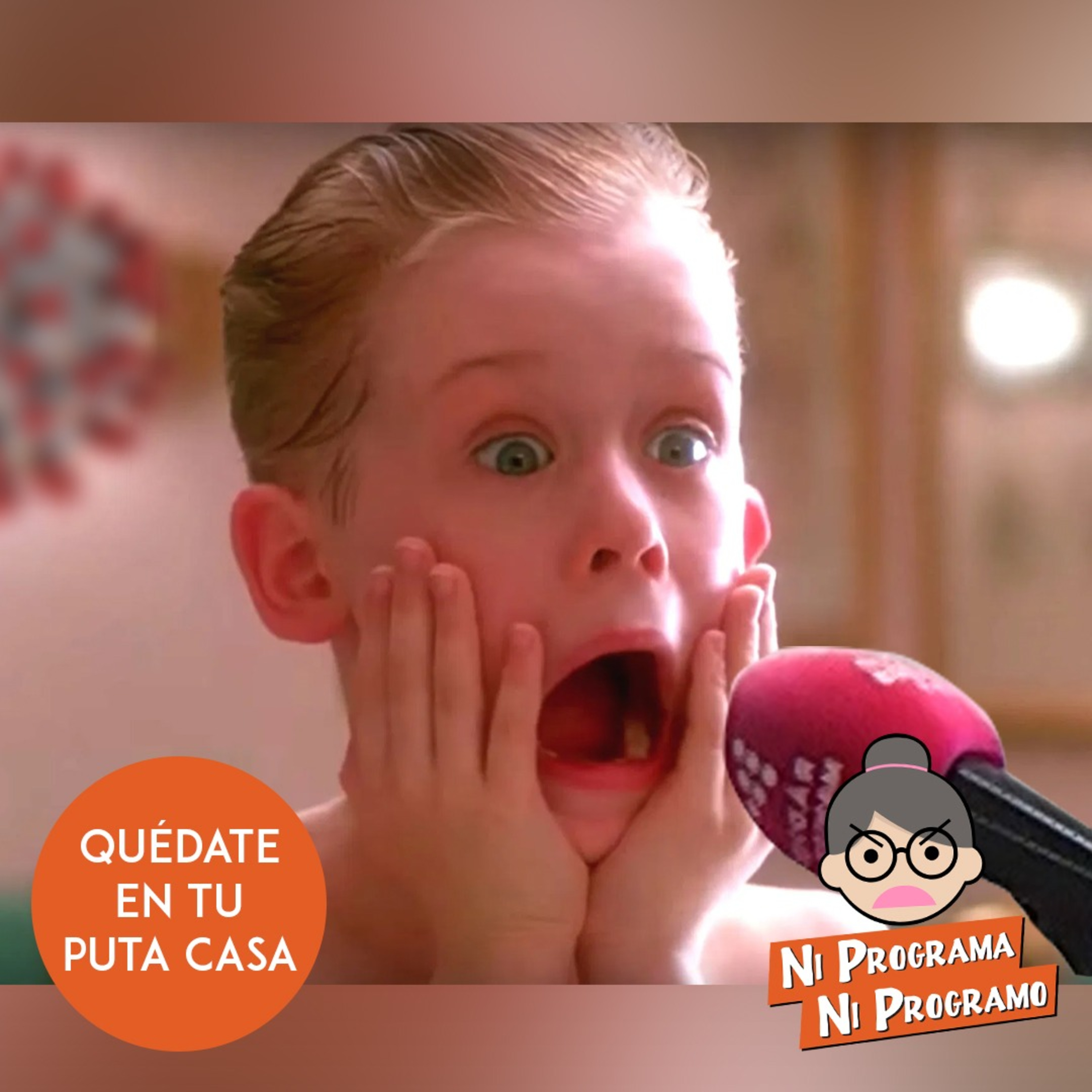 Ni programa ni programo
