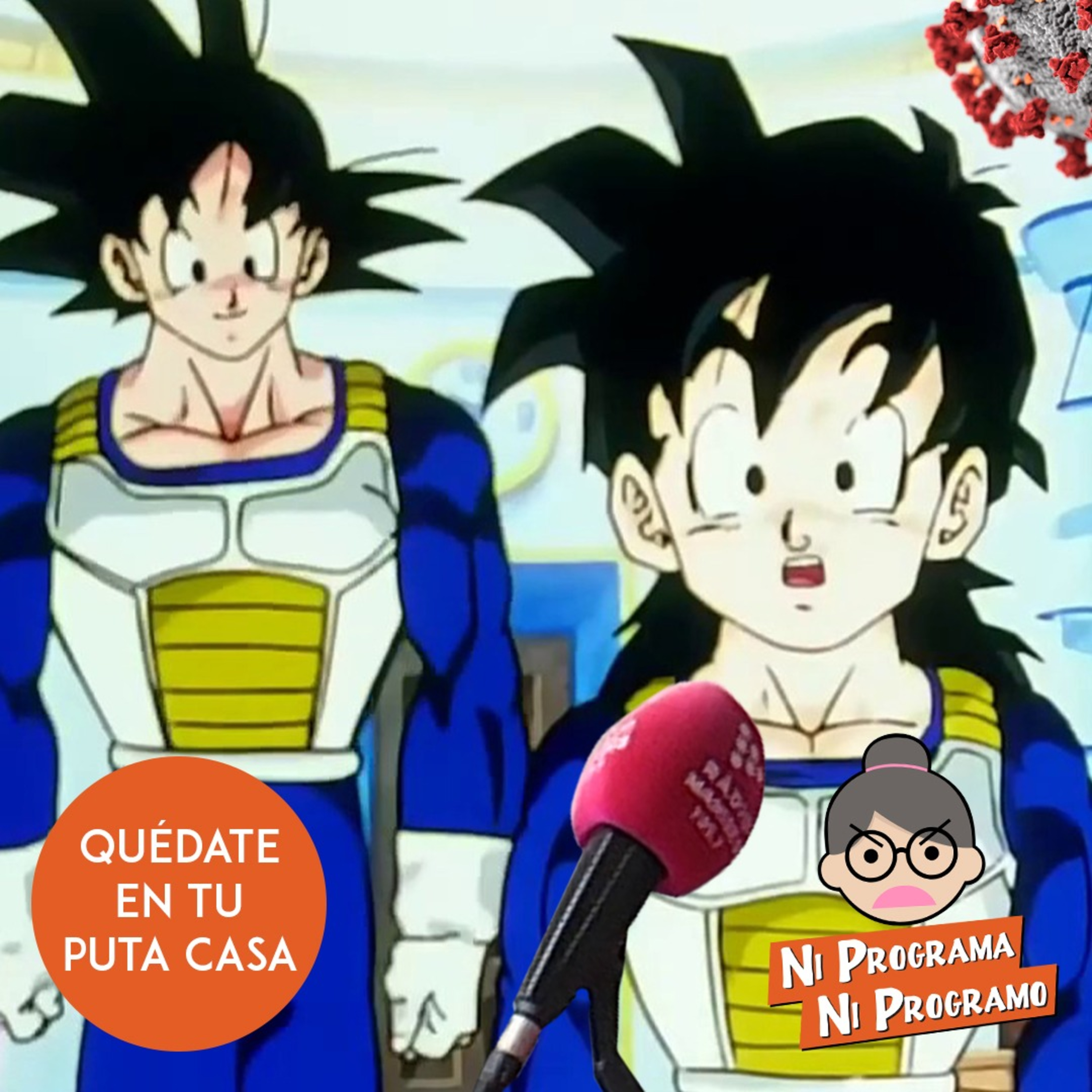 Ni programa ni programo