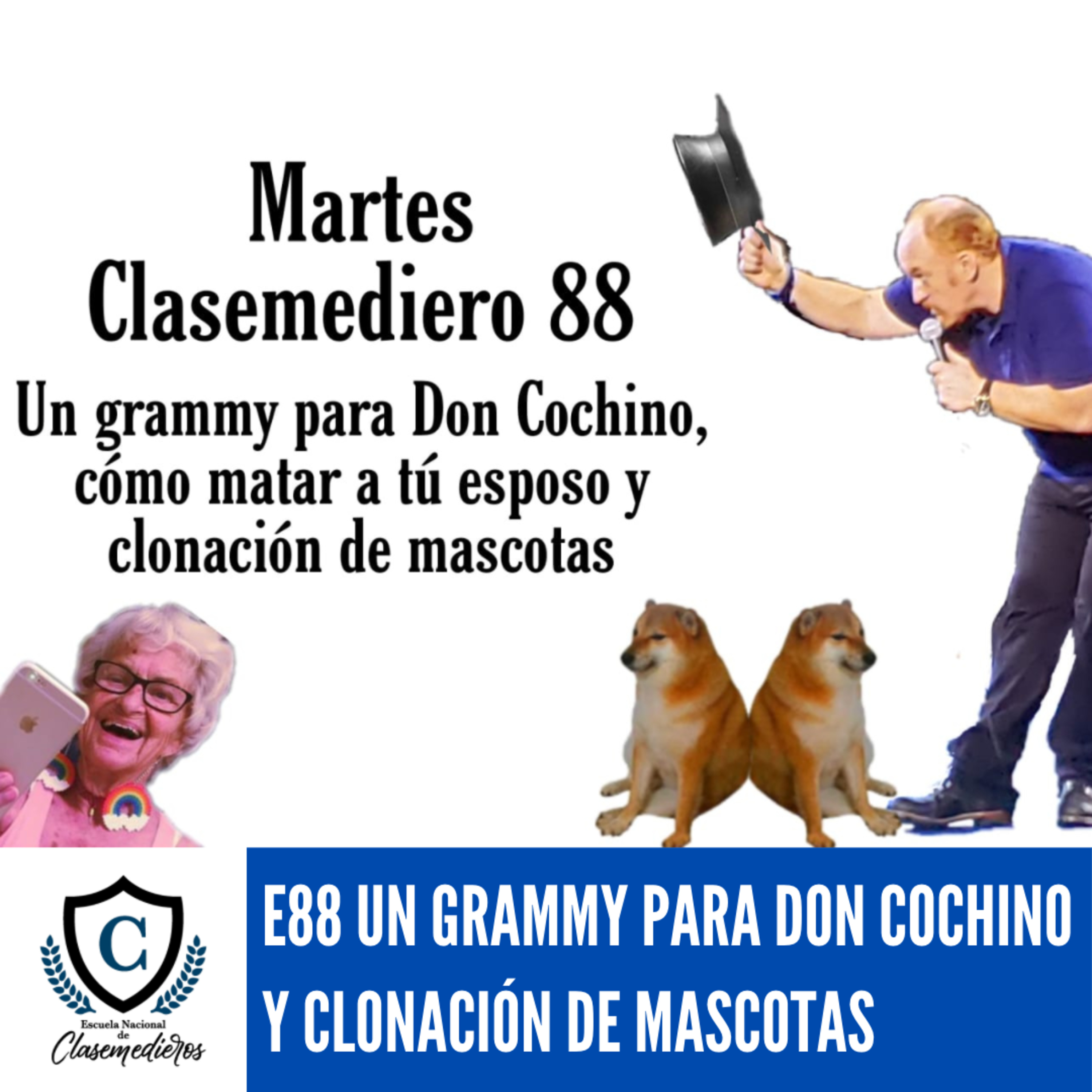 Martes Clasemediero 88: Un Grammy para Don Cochino y Clonación de Mascotas. episode artwork