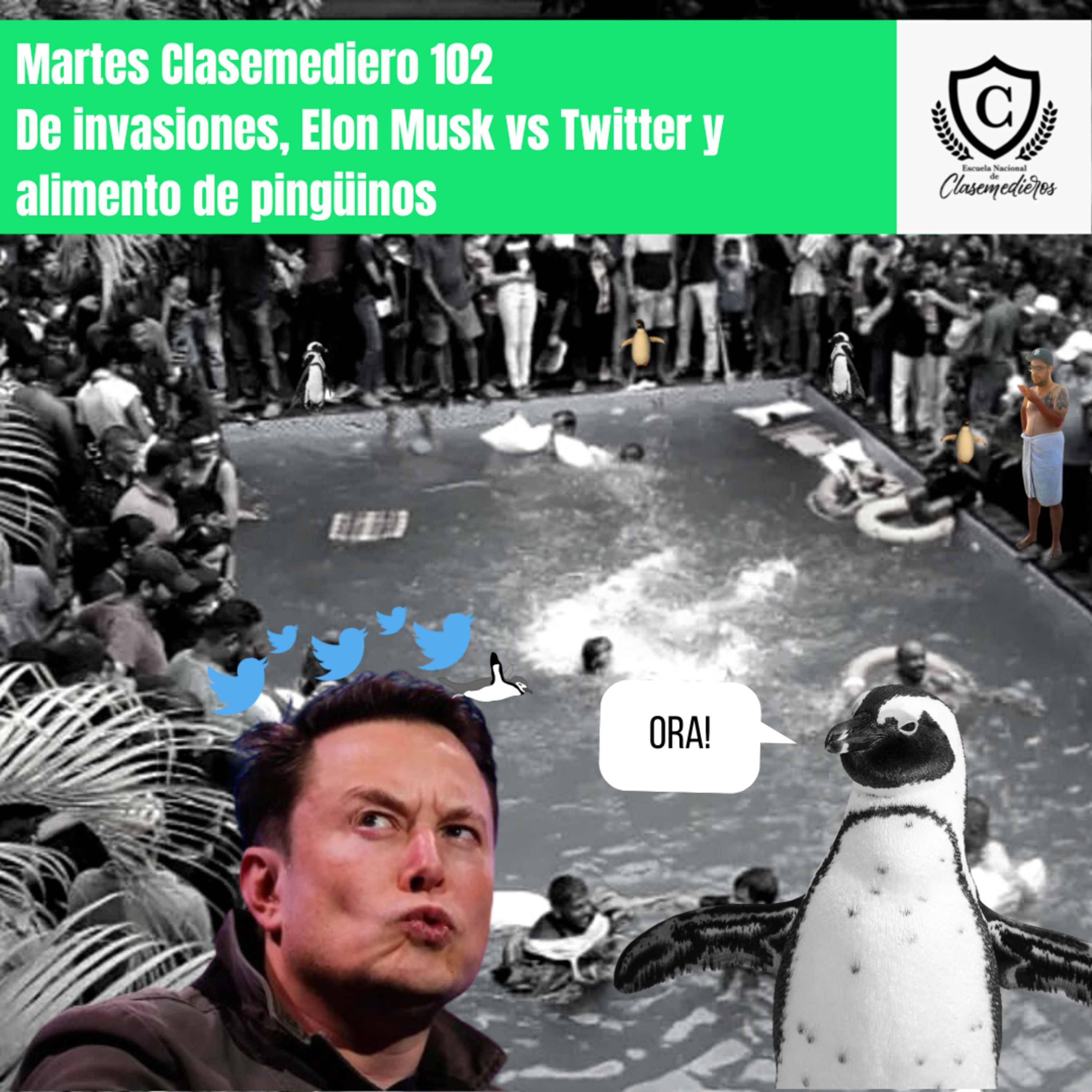 Martes Clasemediero 102: De invasiones, Elon Musk vs Twitter y alimento de Pingüinos.  episode artwork