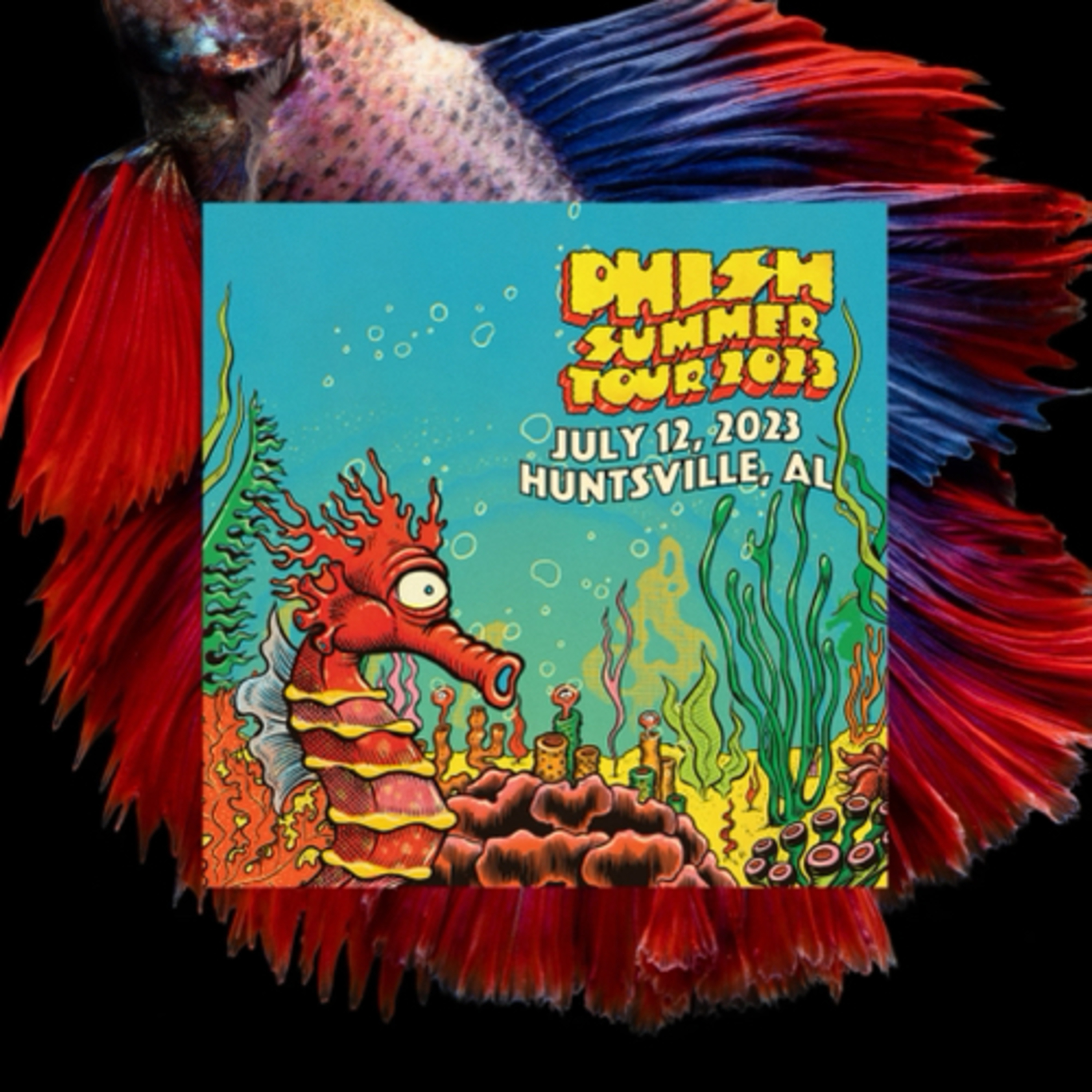 Phish Phry Podcast
