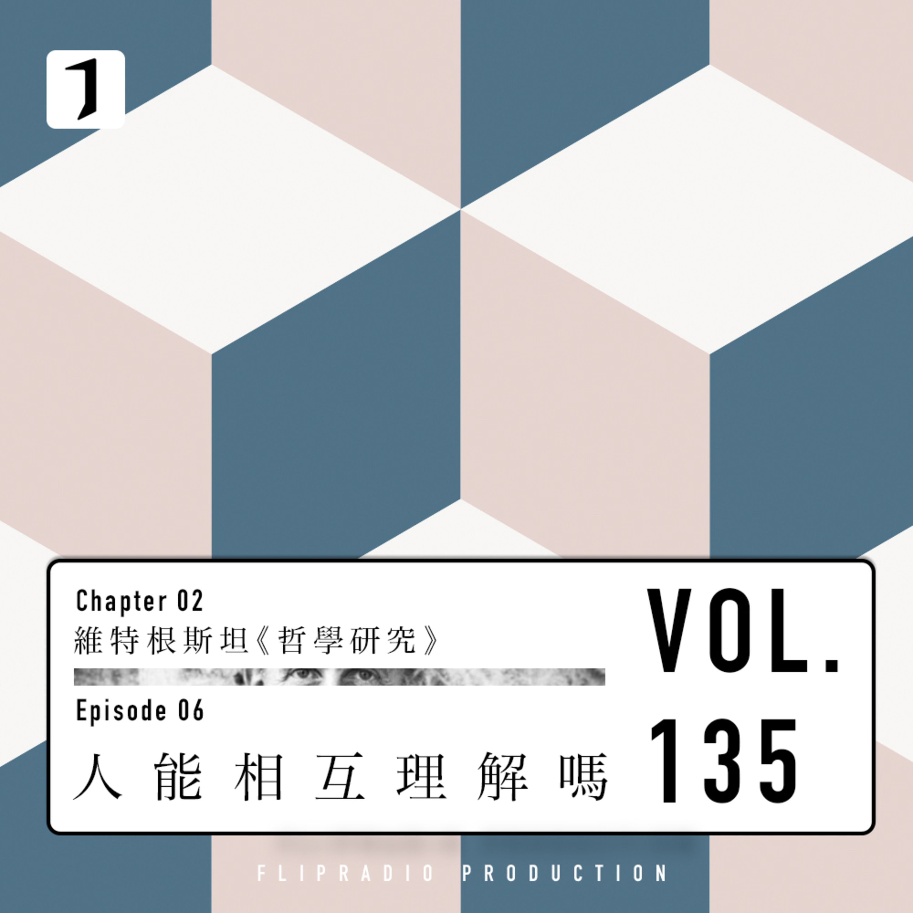 FULL 人能相互理解吗 120-142节(维特根斯坦06) - 翻转电台2.0