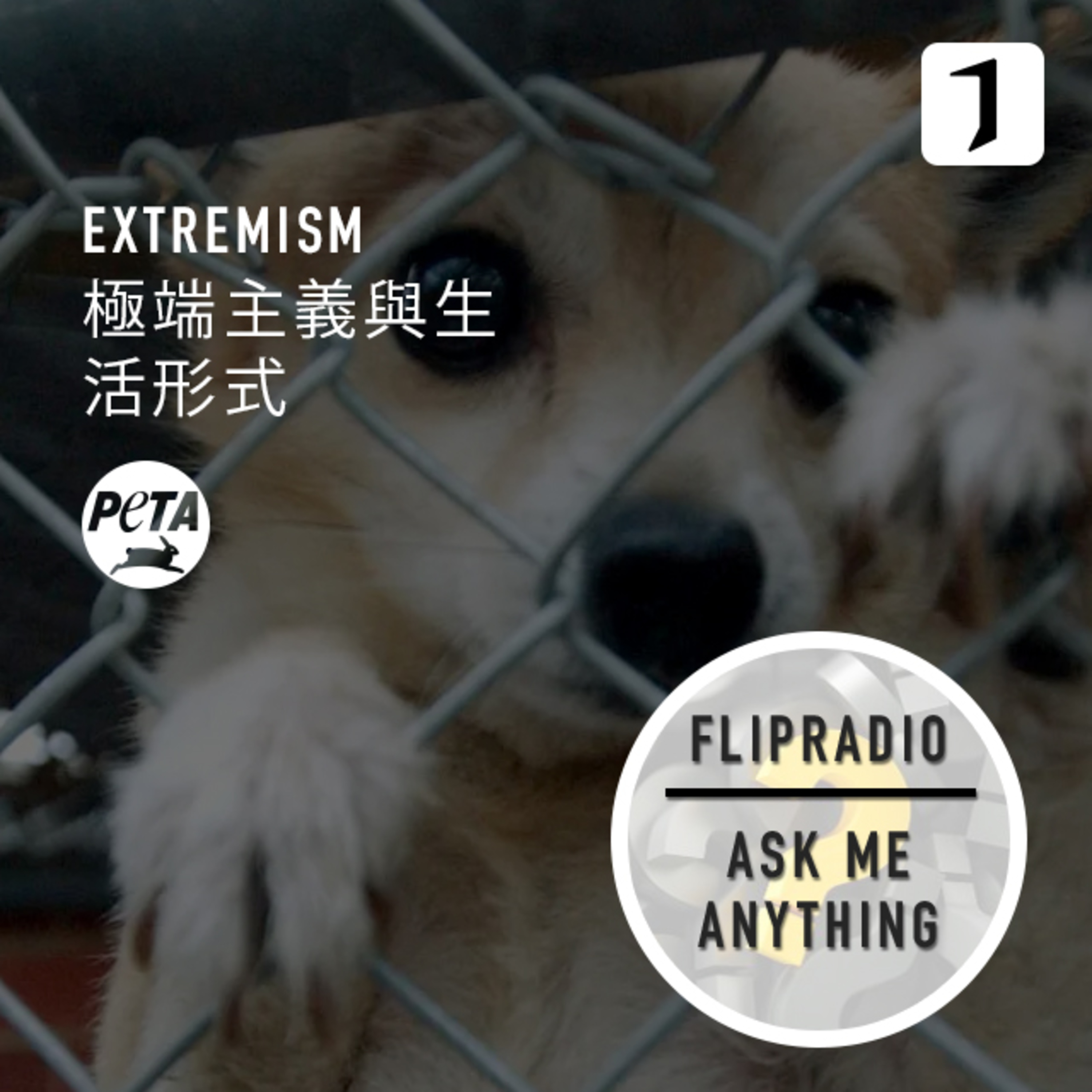 翻电问答 • 43 | PETA、百度戒色吧...极端主张为何能被人接受