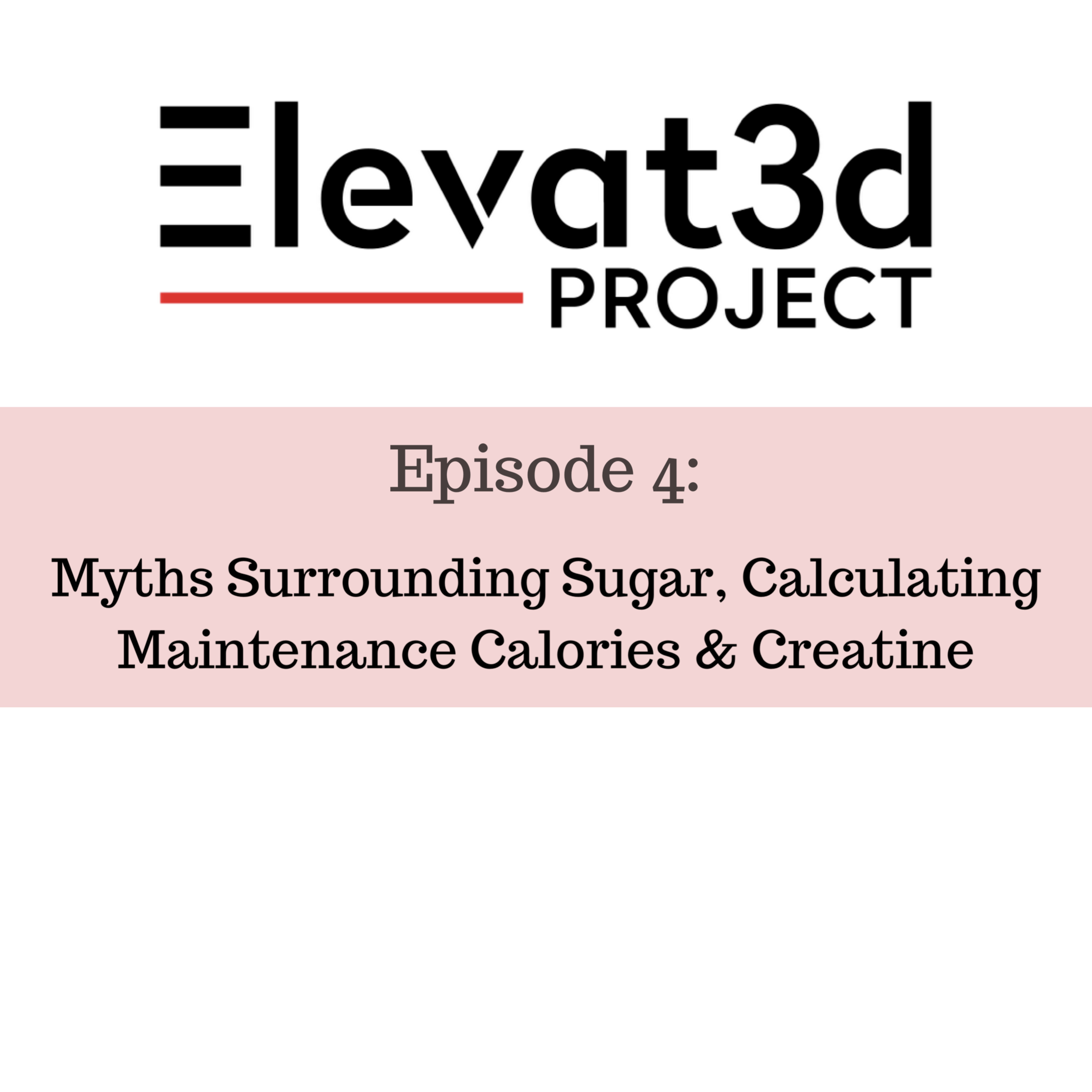 Elevat3d Project