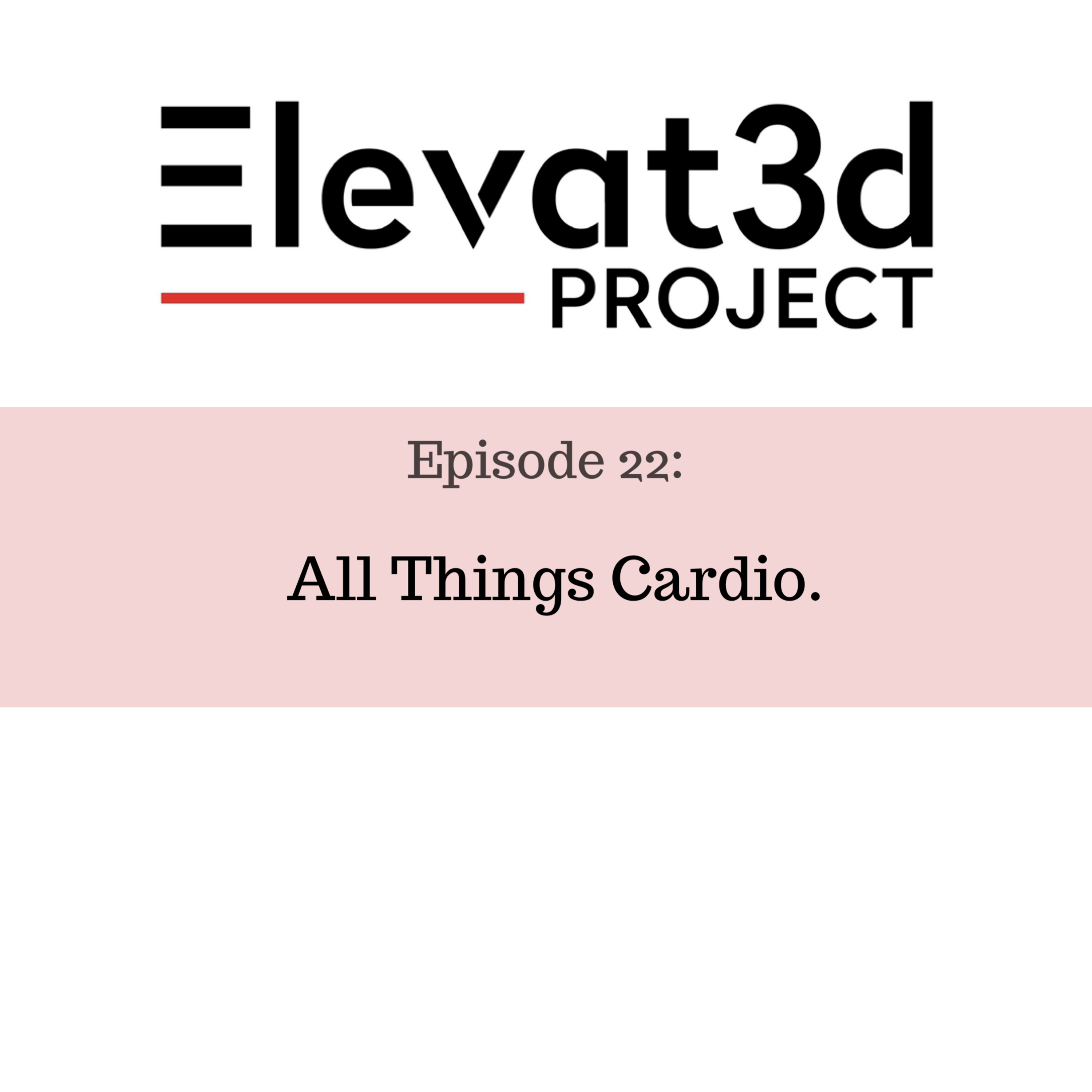 Elevat3d Project