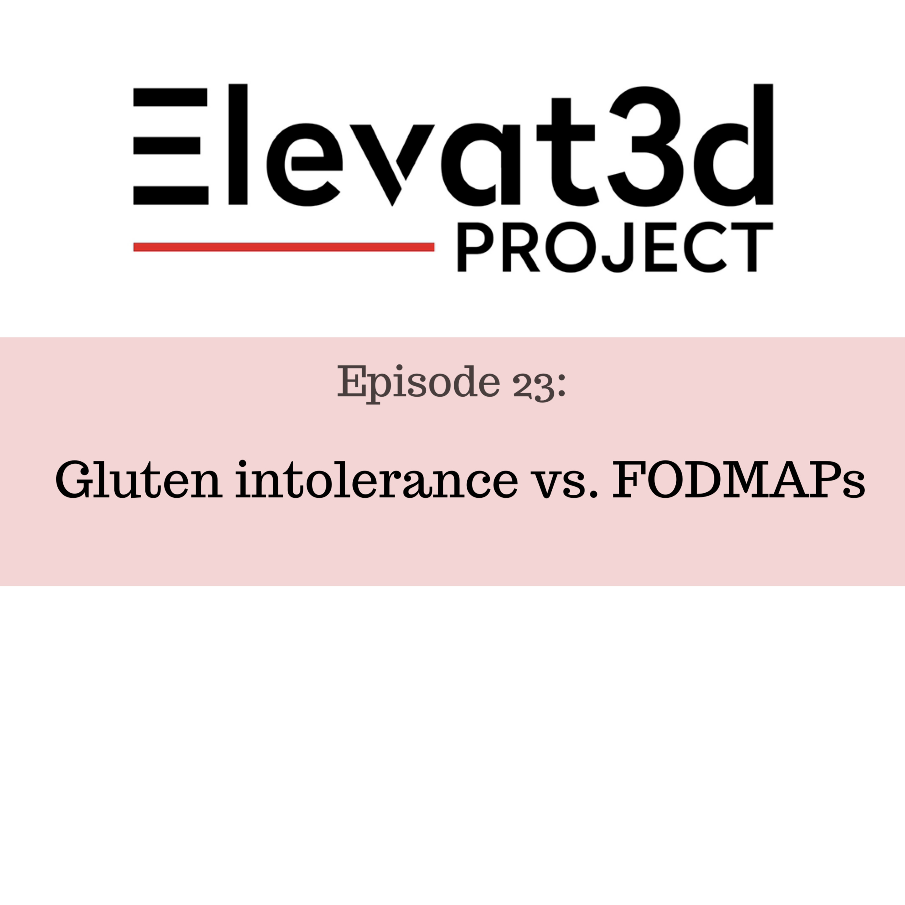 Elevat3d Project