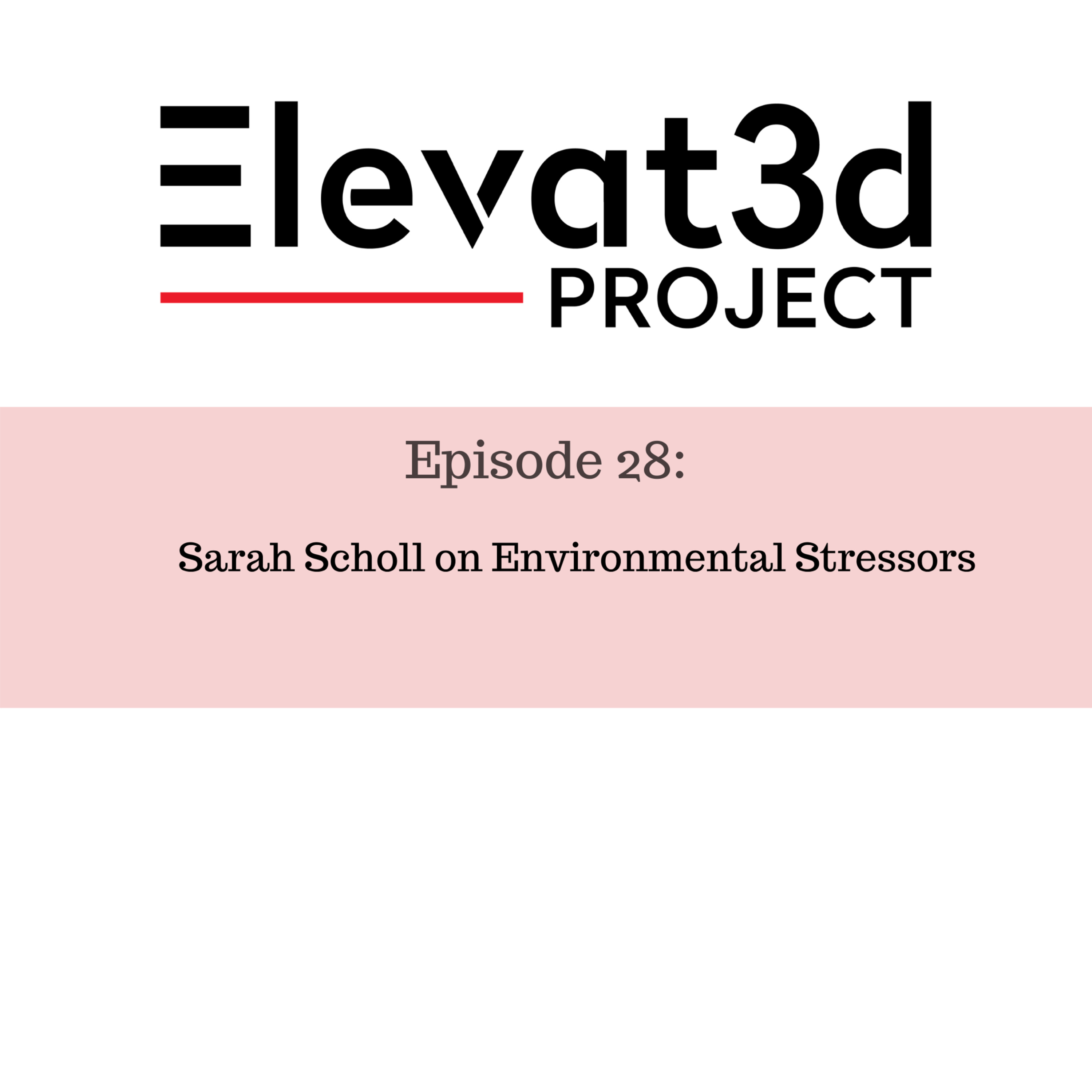 Elevat3d Project