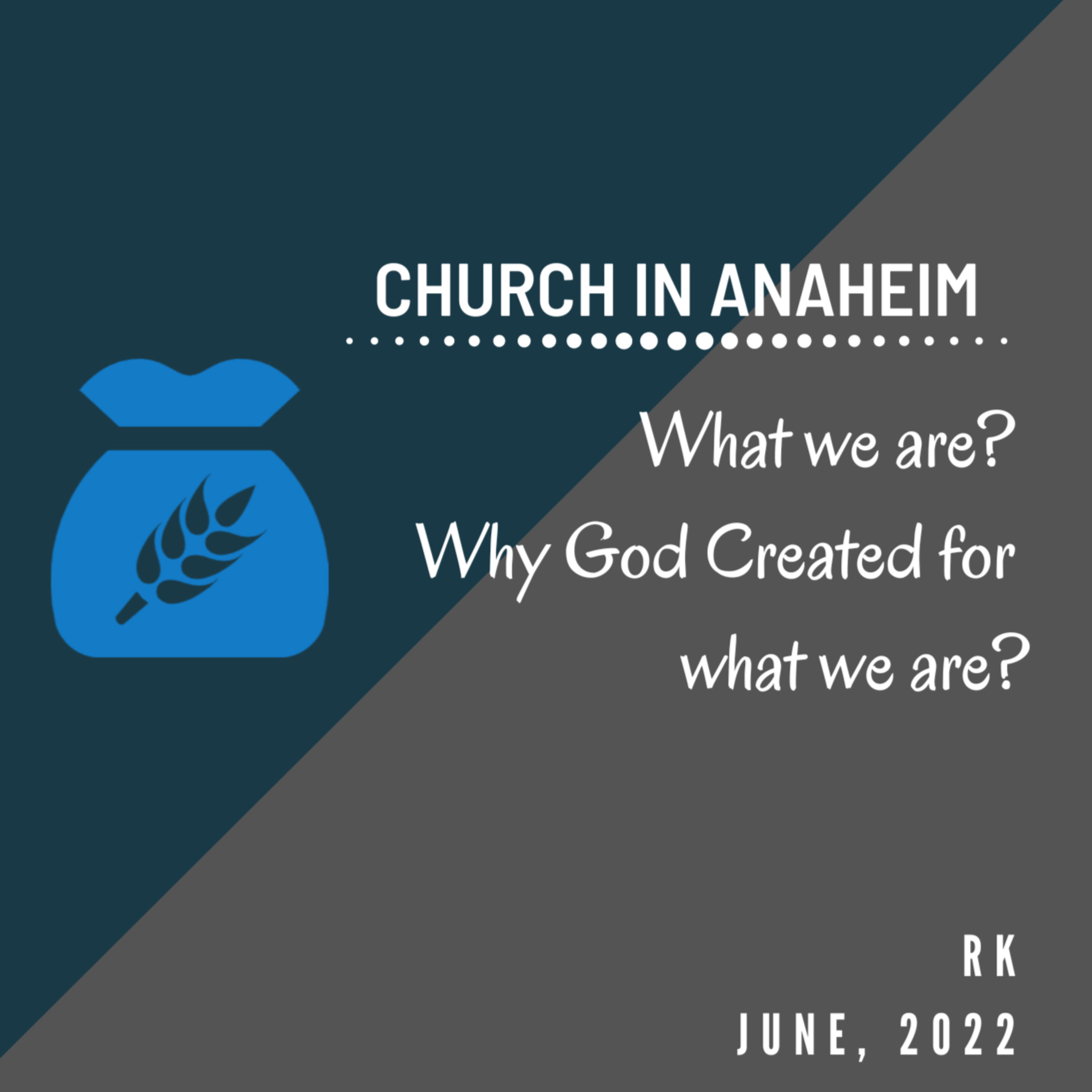 Special Fellowship - What we are? Why God Created for what we are? episode artwork