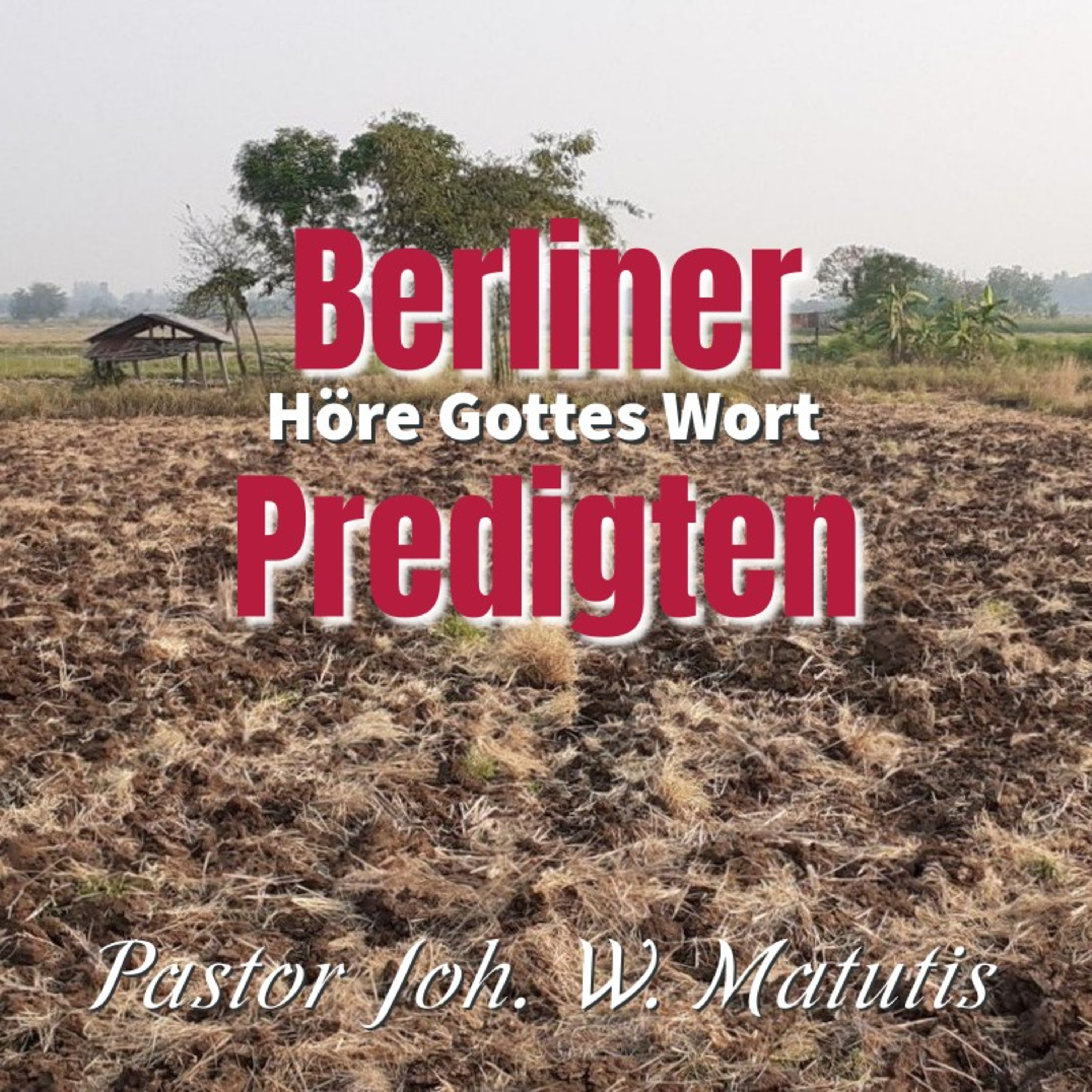 Joh. W. Matutis - Im Kopf spielt sich alles ab episode artwork