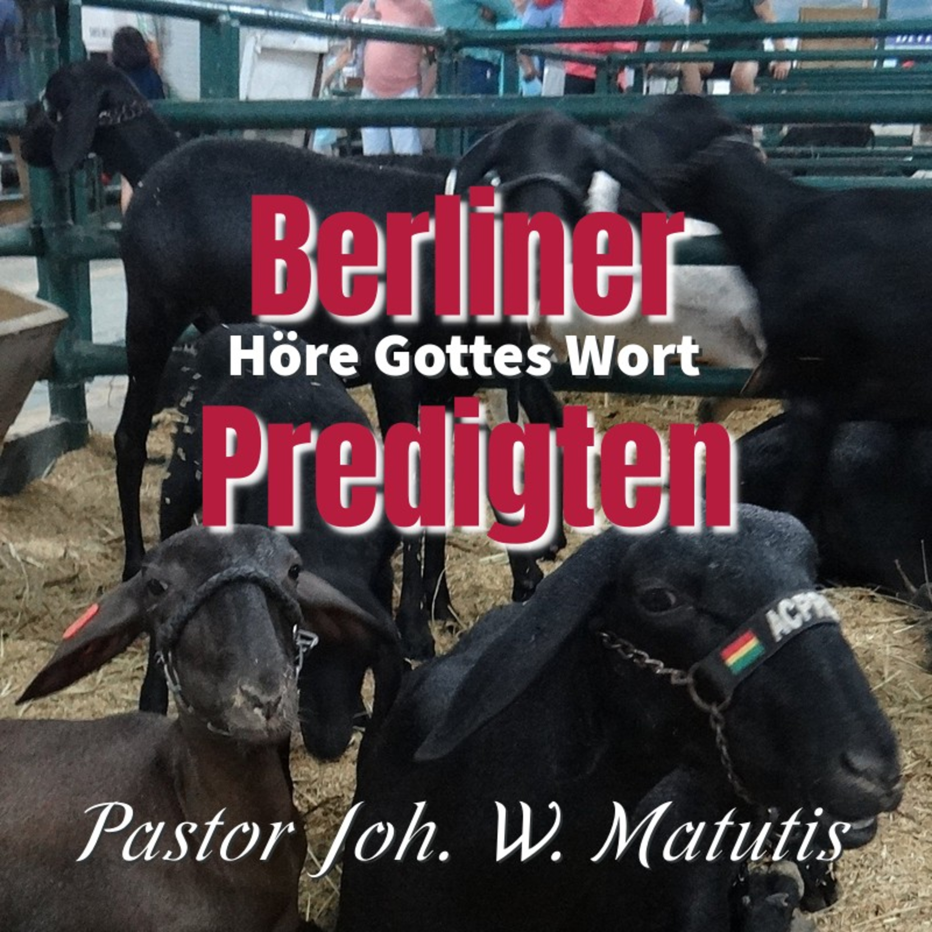Joh. W. Matutis - Sie kreuzigten ihn episode artwork