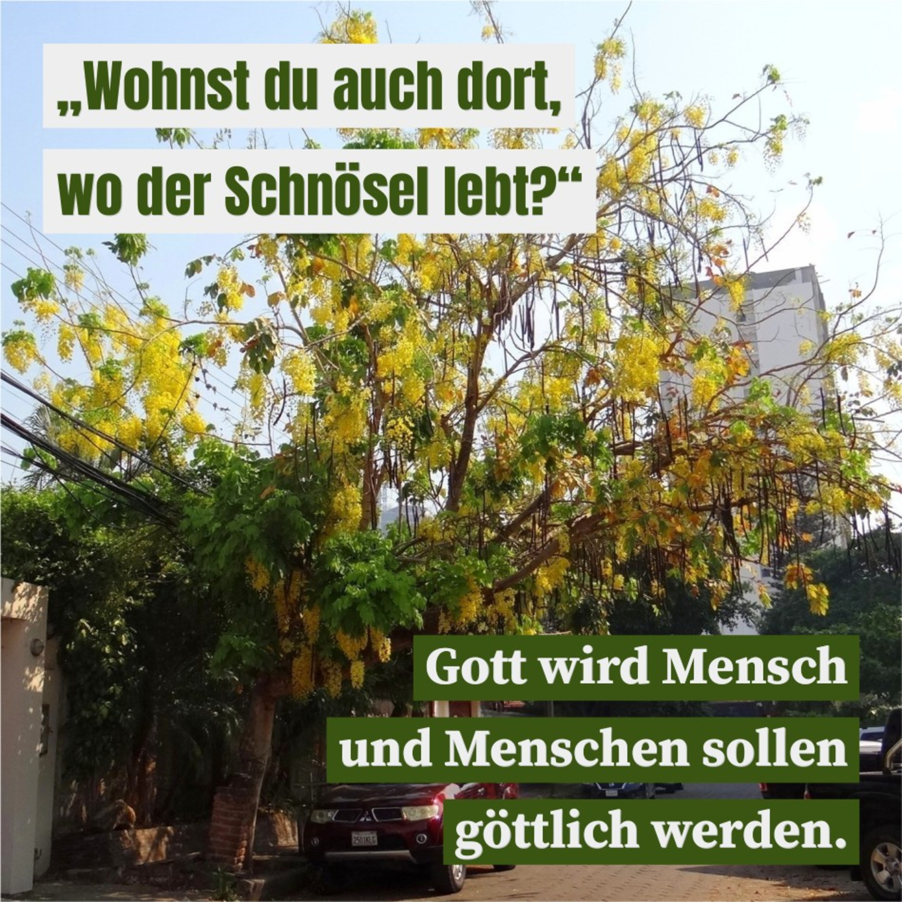 Joh. W. Matutis - Lebe auf Gottes Ebene episode artwork
