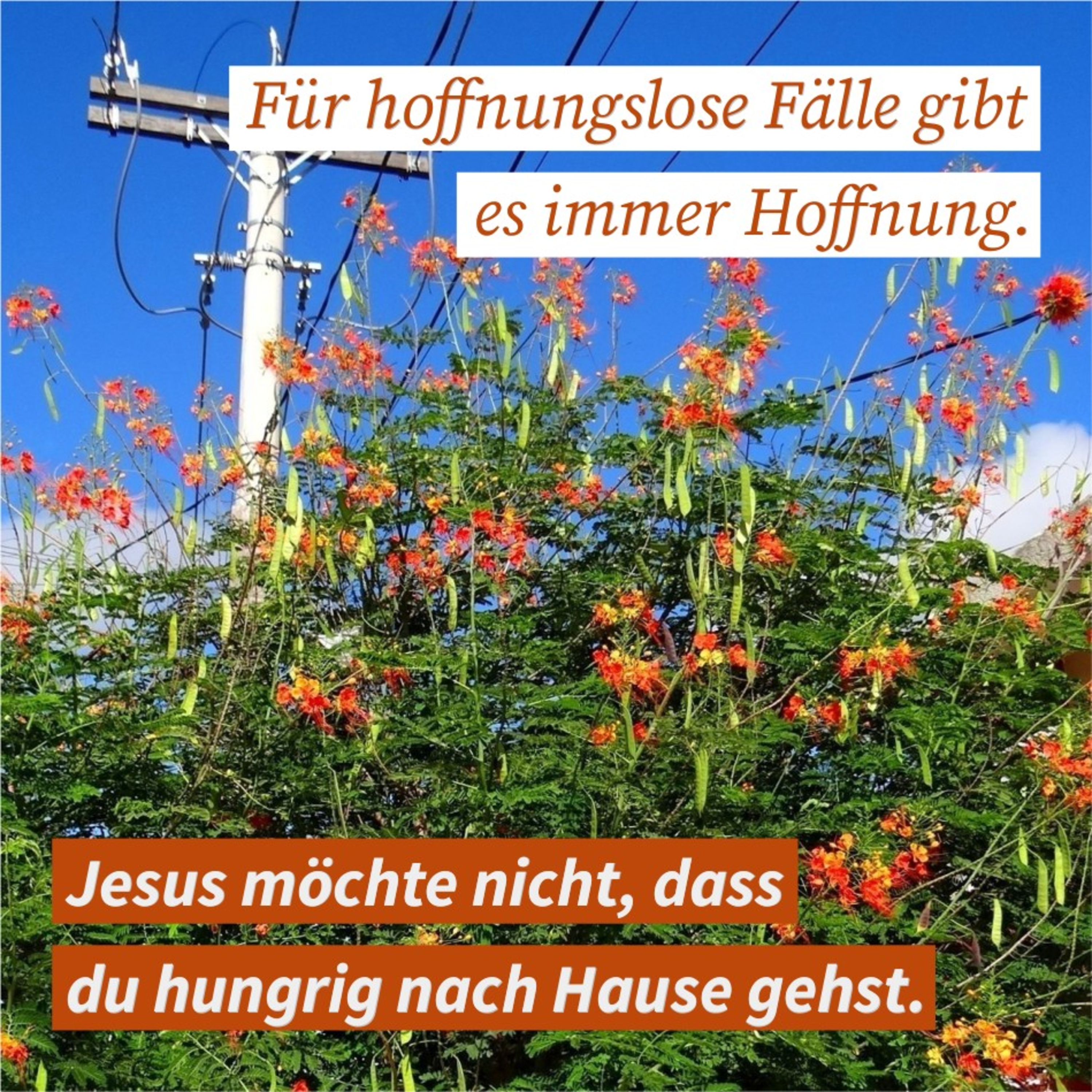 Joh. W. Matutis - Es gibt Hoffnung episode artwork