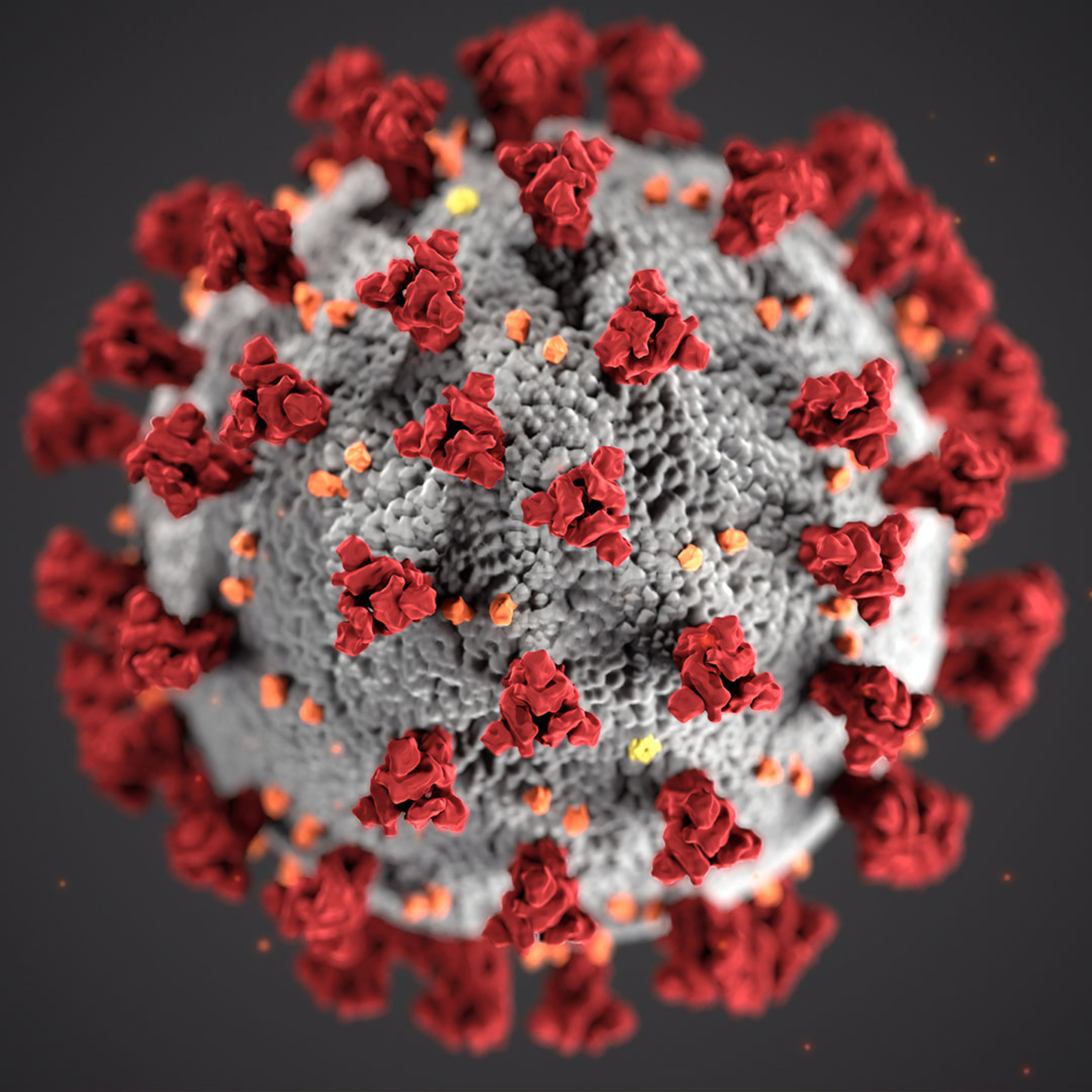 Episode 457: Is Coronavirus A Sign Of The End Times? episode artwork