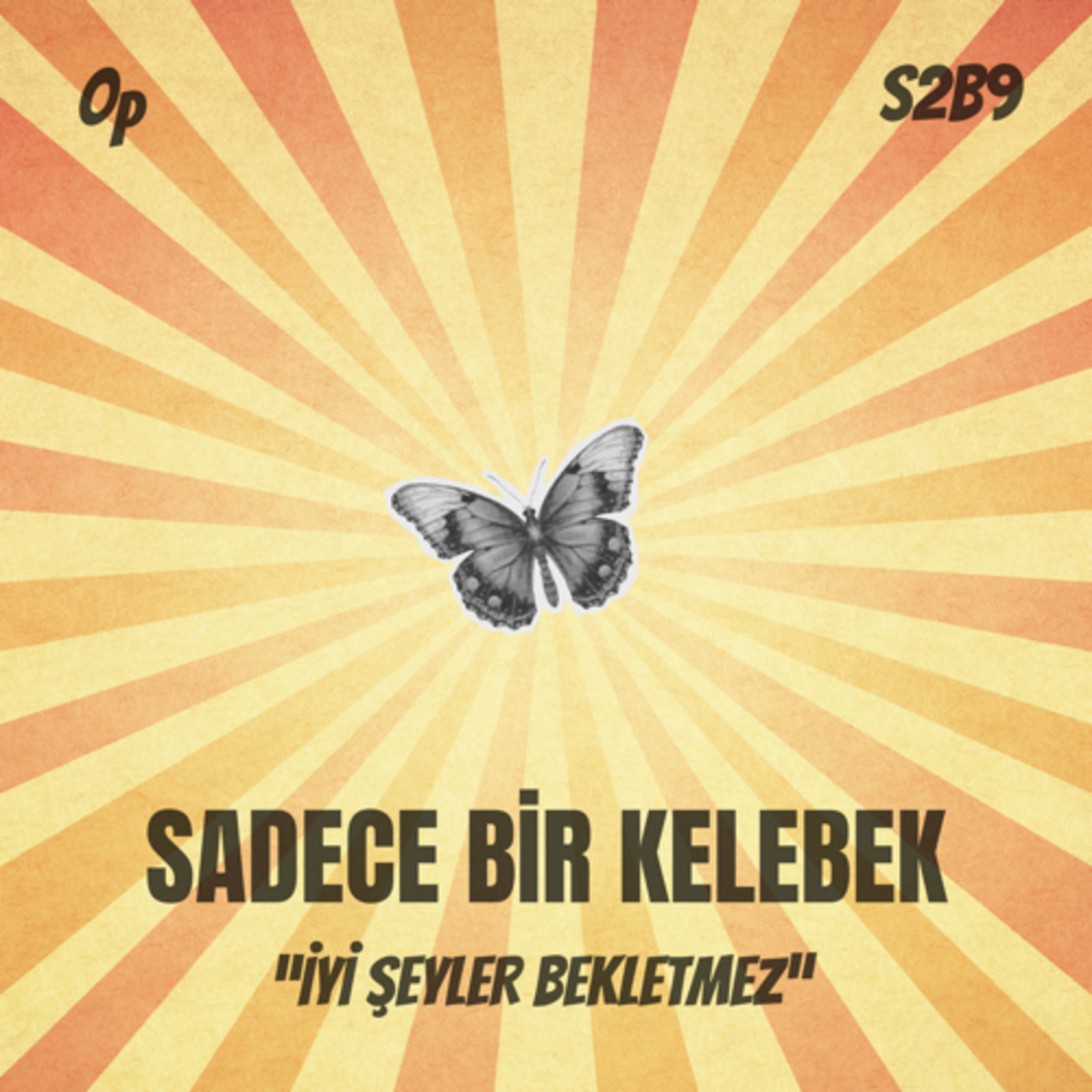 S2B9 | Sadece bir kelebek / İyi şeyler bekletmez episode artwork