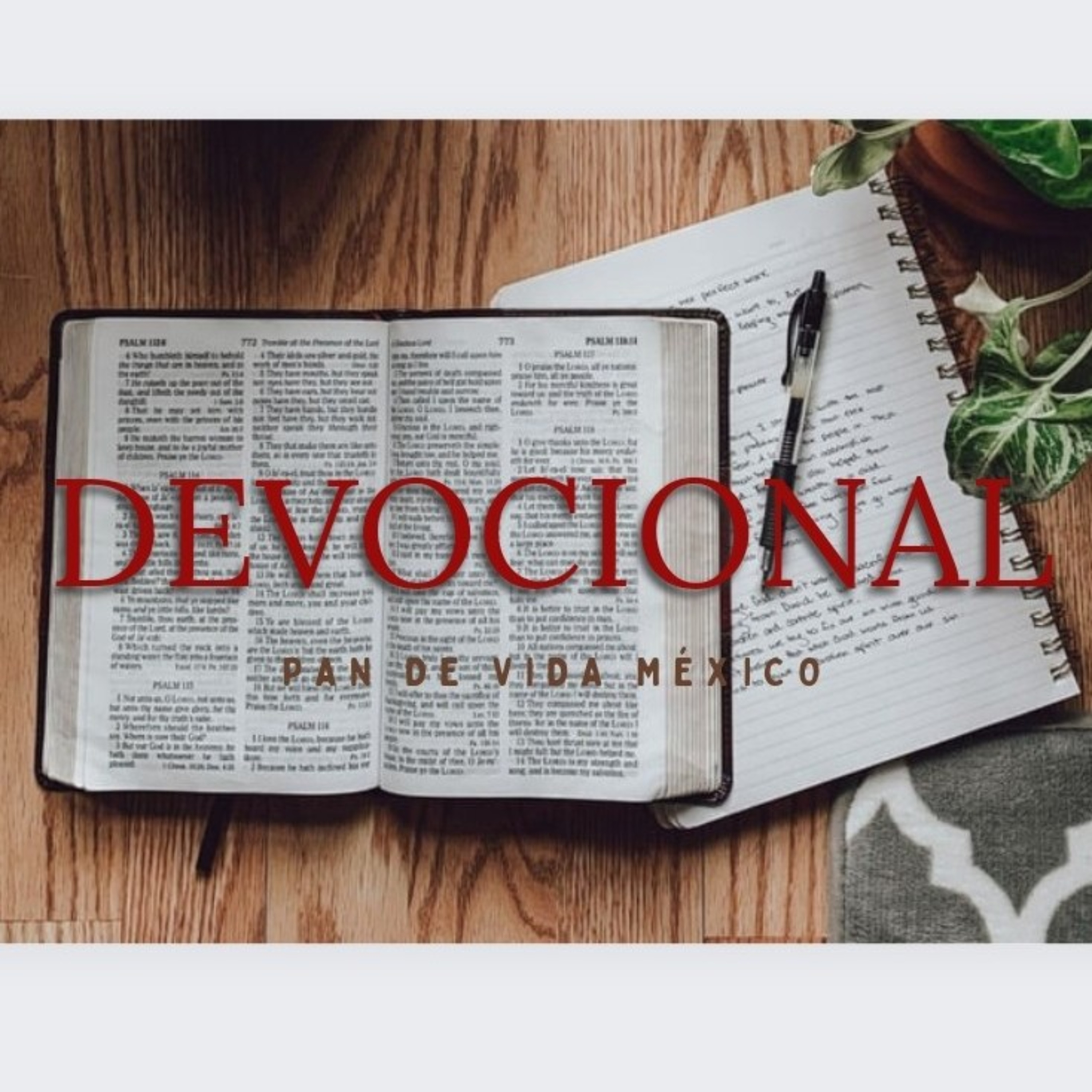DEVOCIONAL  episode artwork