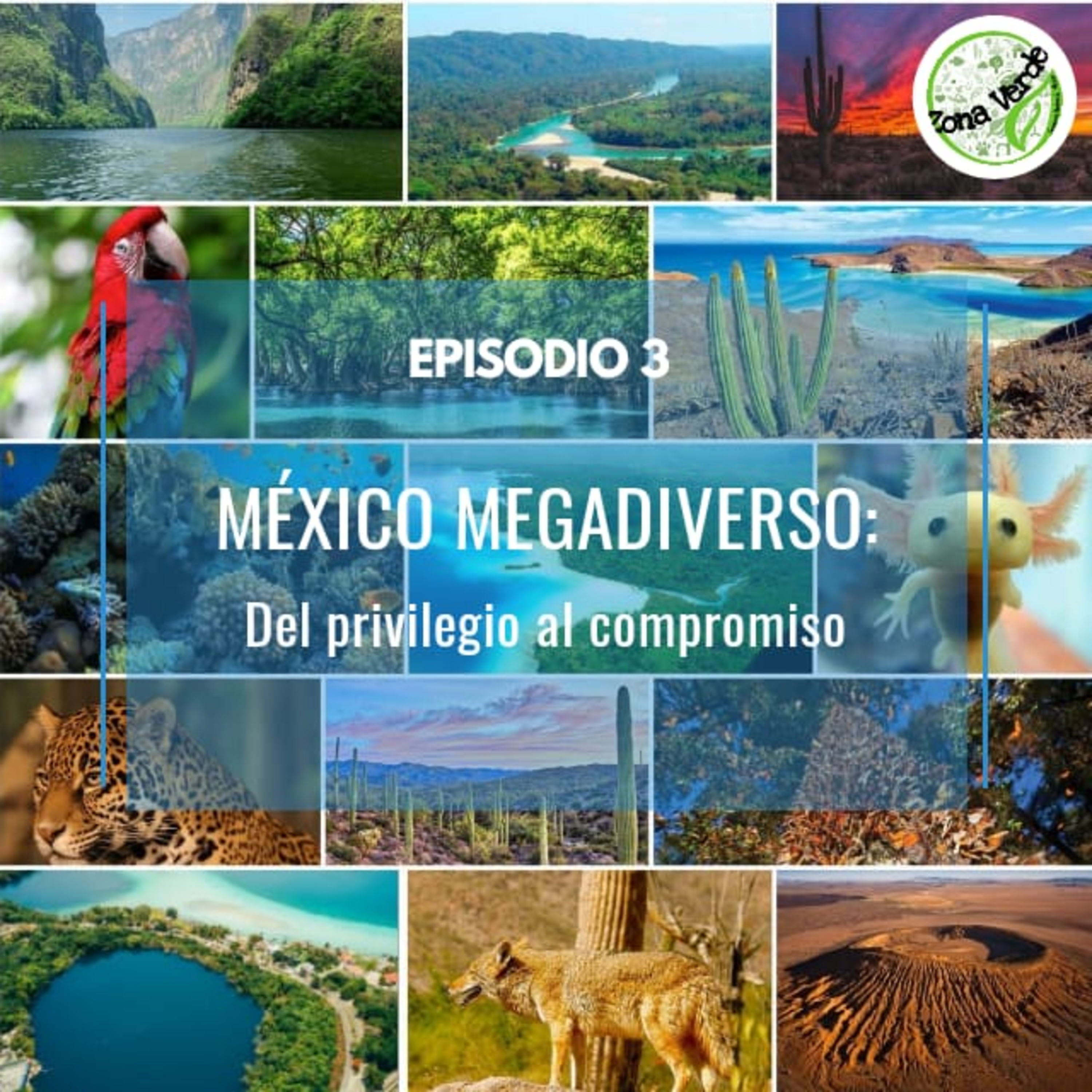 Episodio 3 - México megadiverso: del privilegio al compromiso