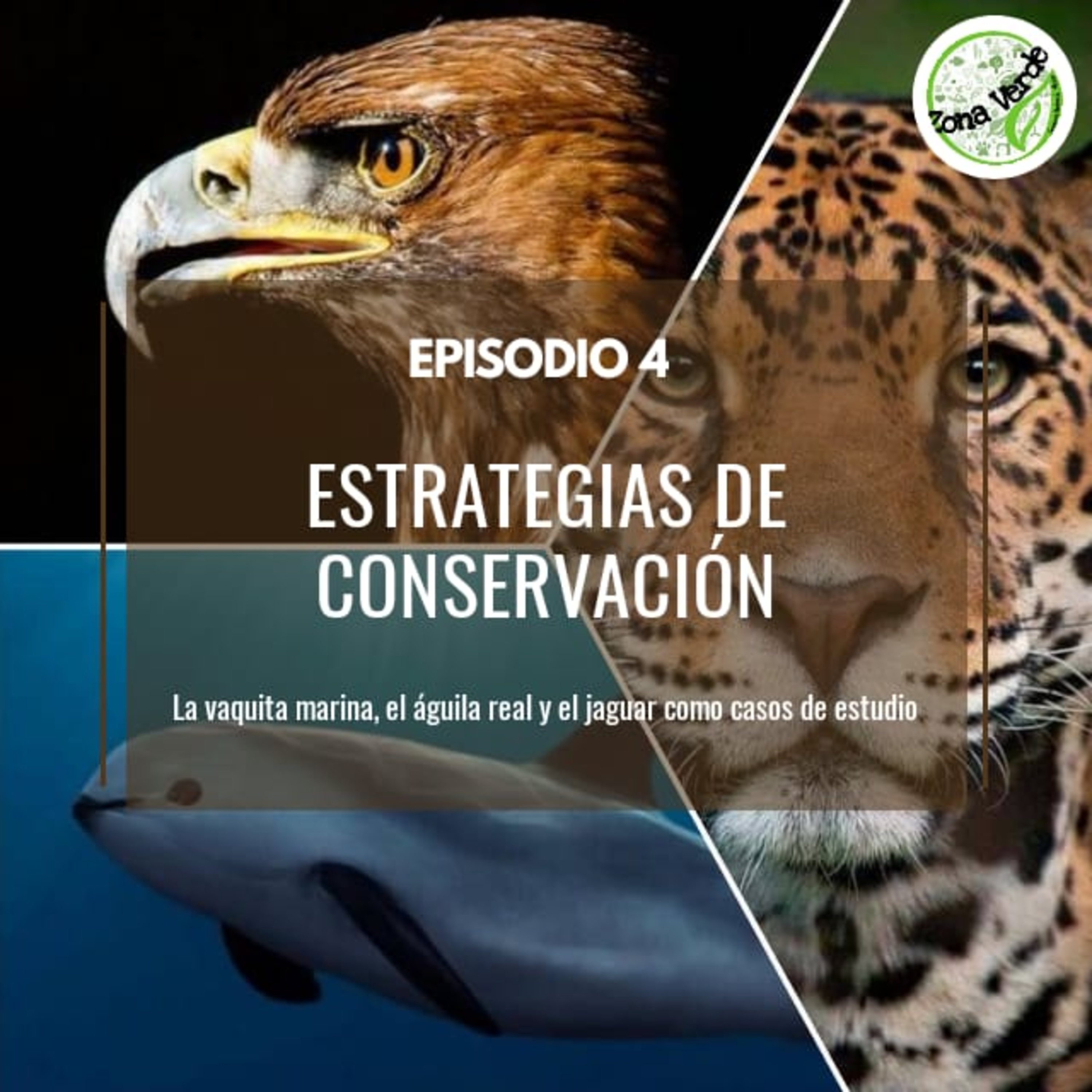 Episodio 4 - Estrategias de conservación