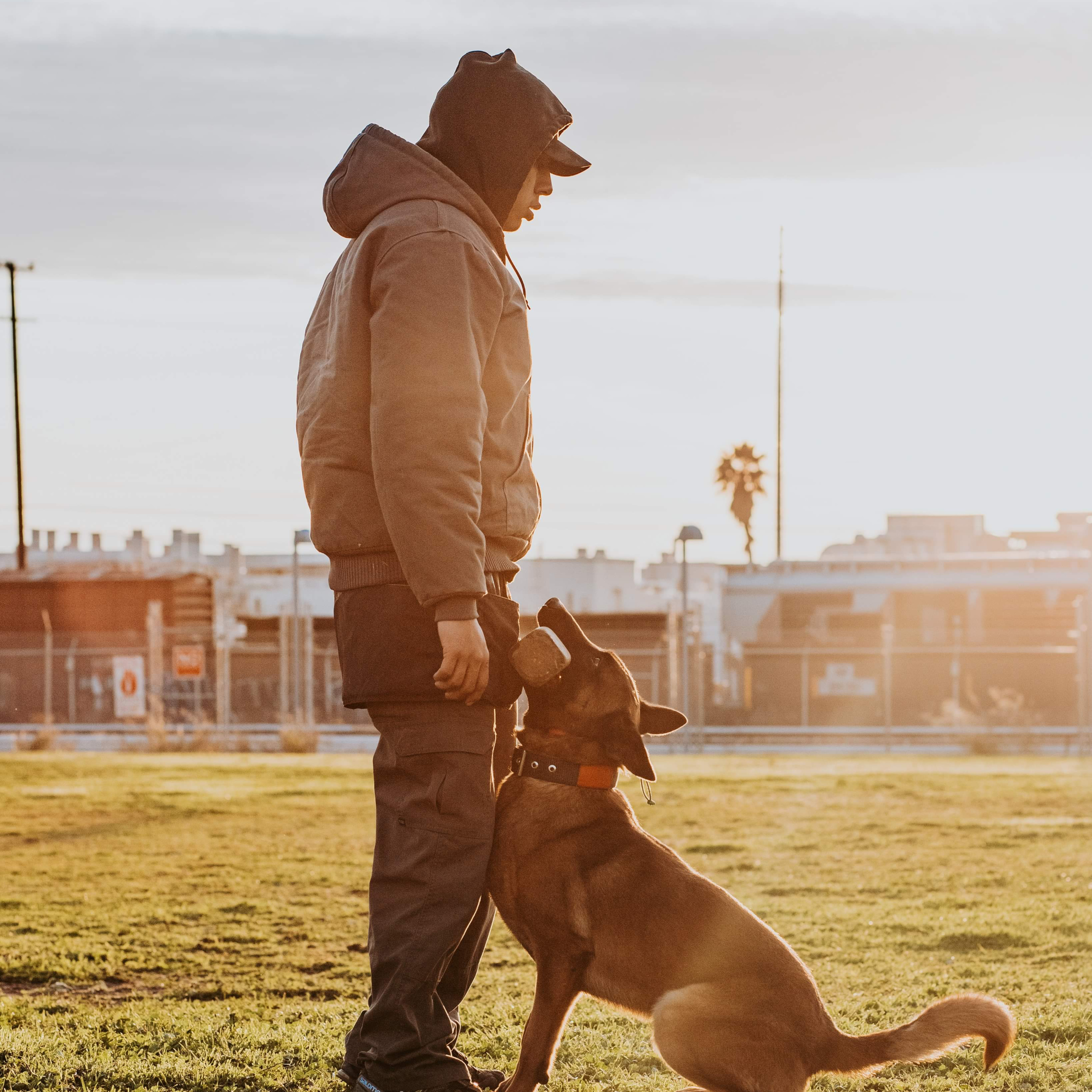 Spectrum Canine Radio #3-Marker Training