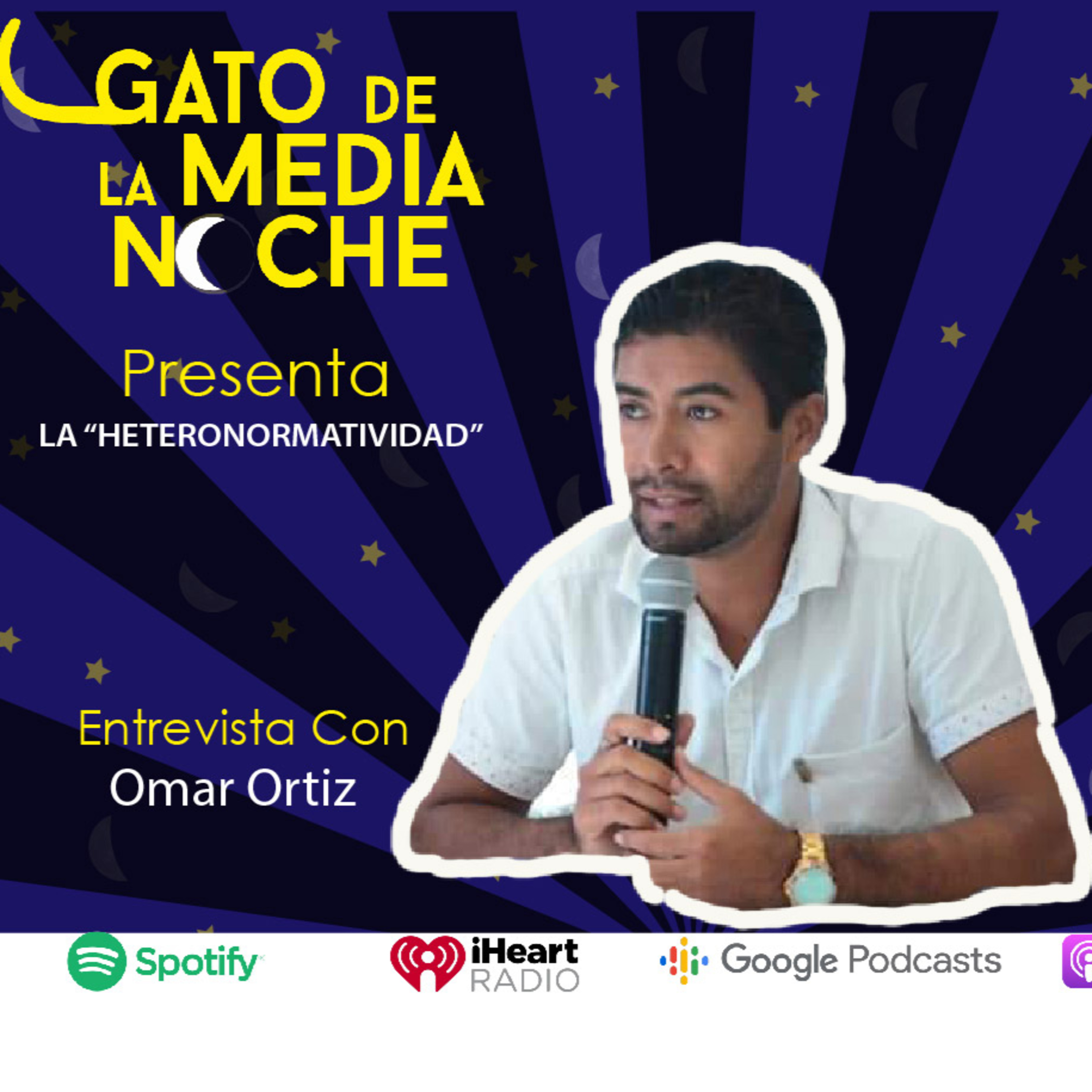 gato de la media noche