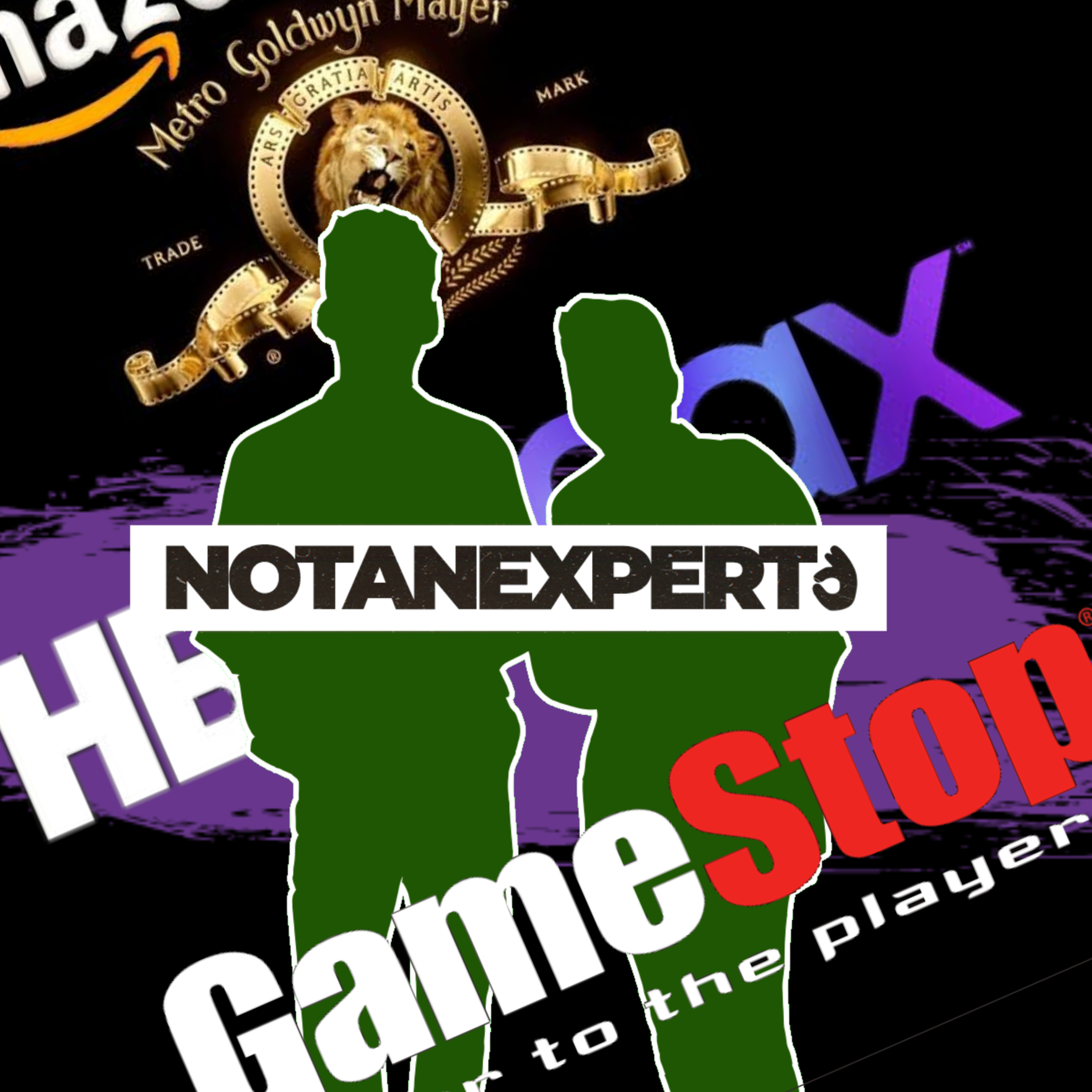 Not an Expert