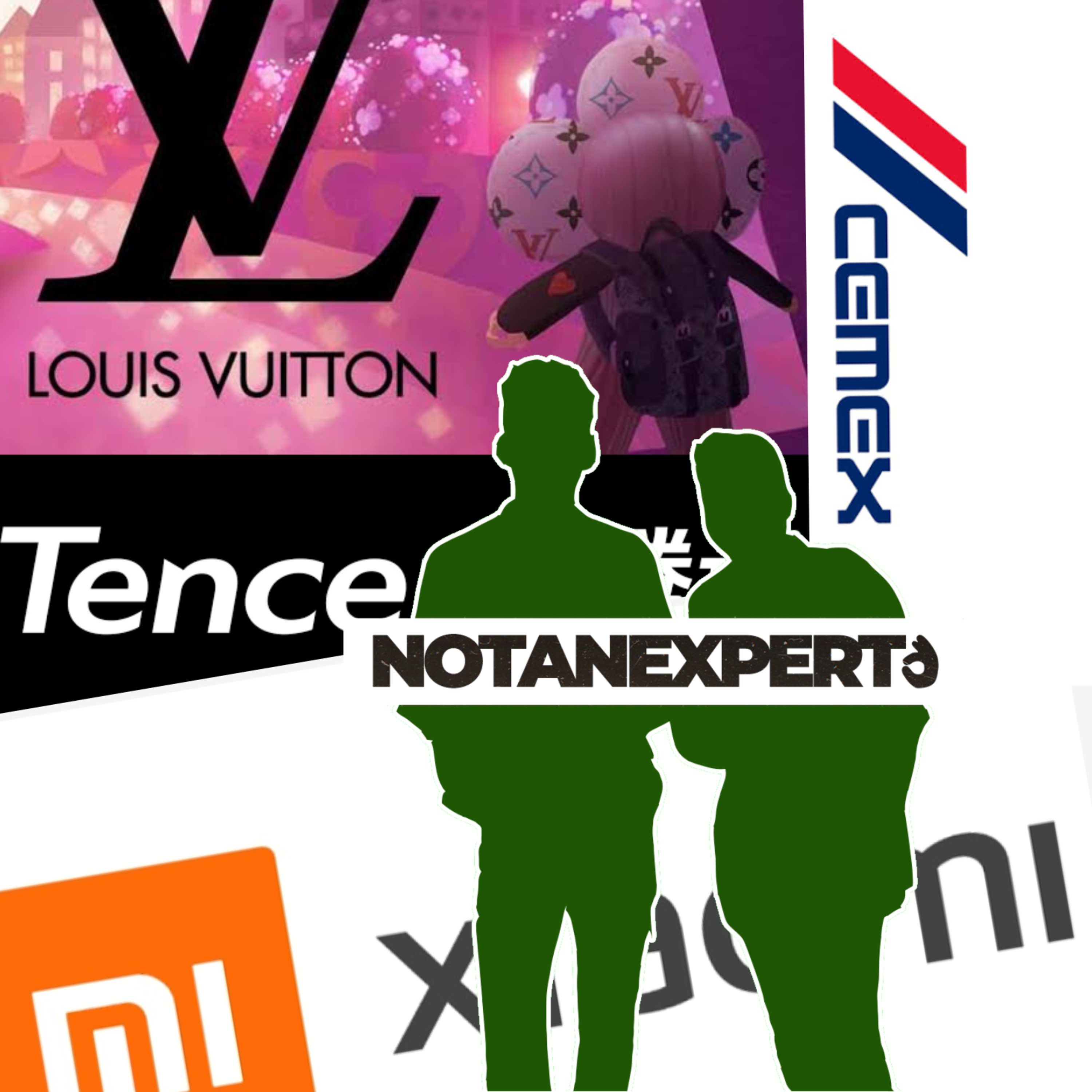 Not an Expert