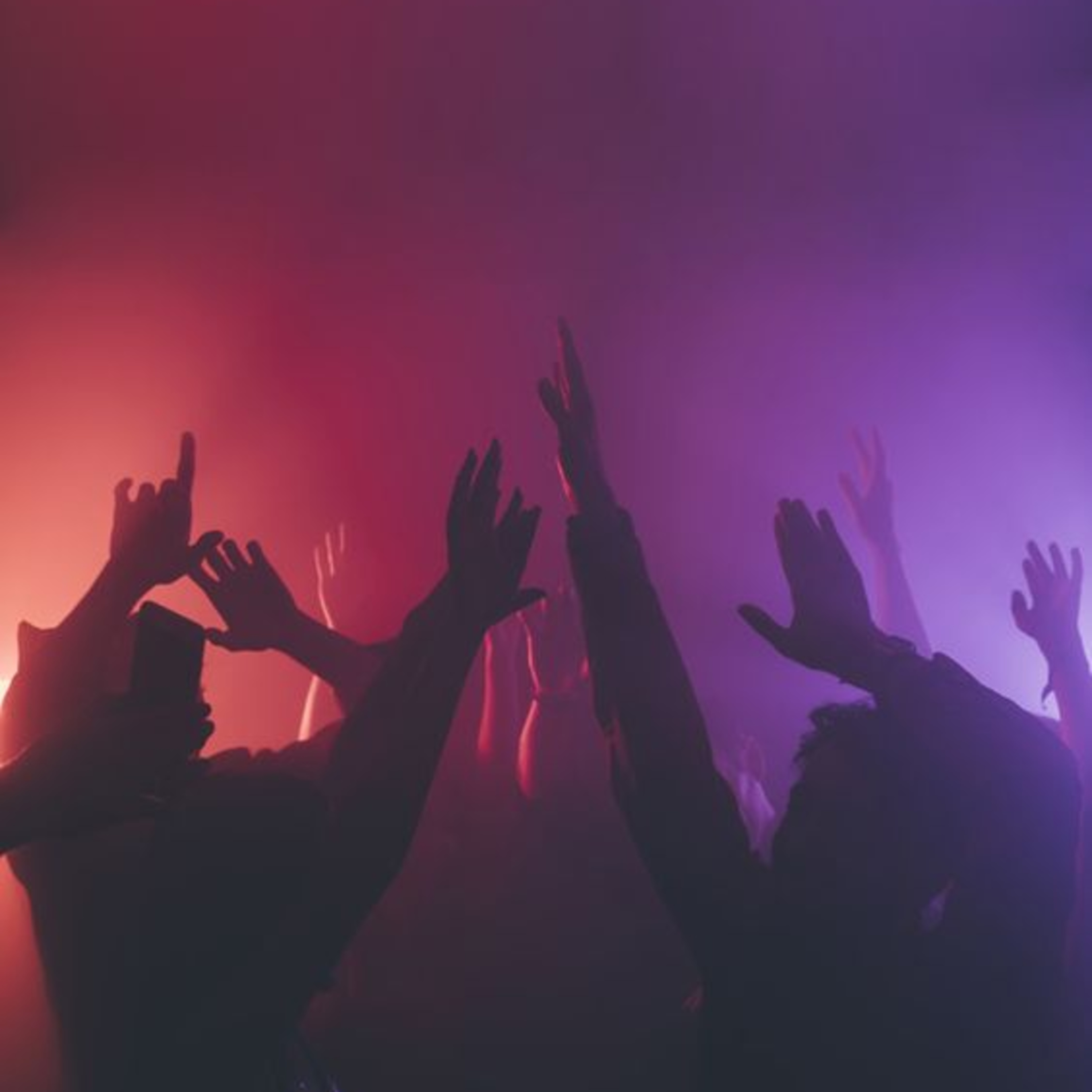 Festival Goers & Horrors