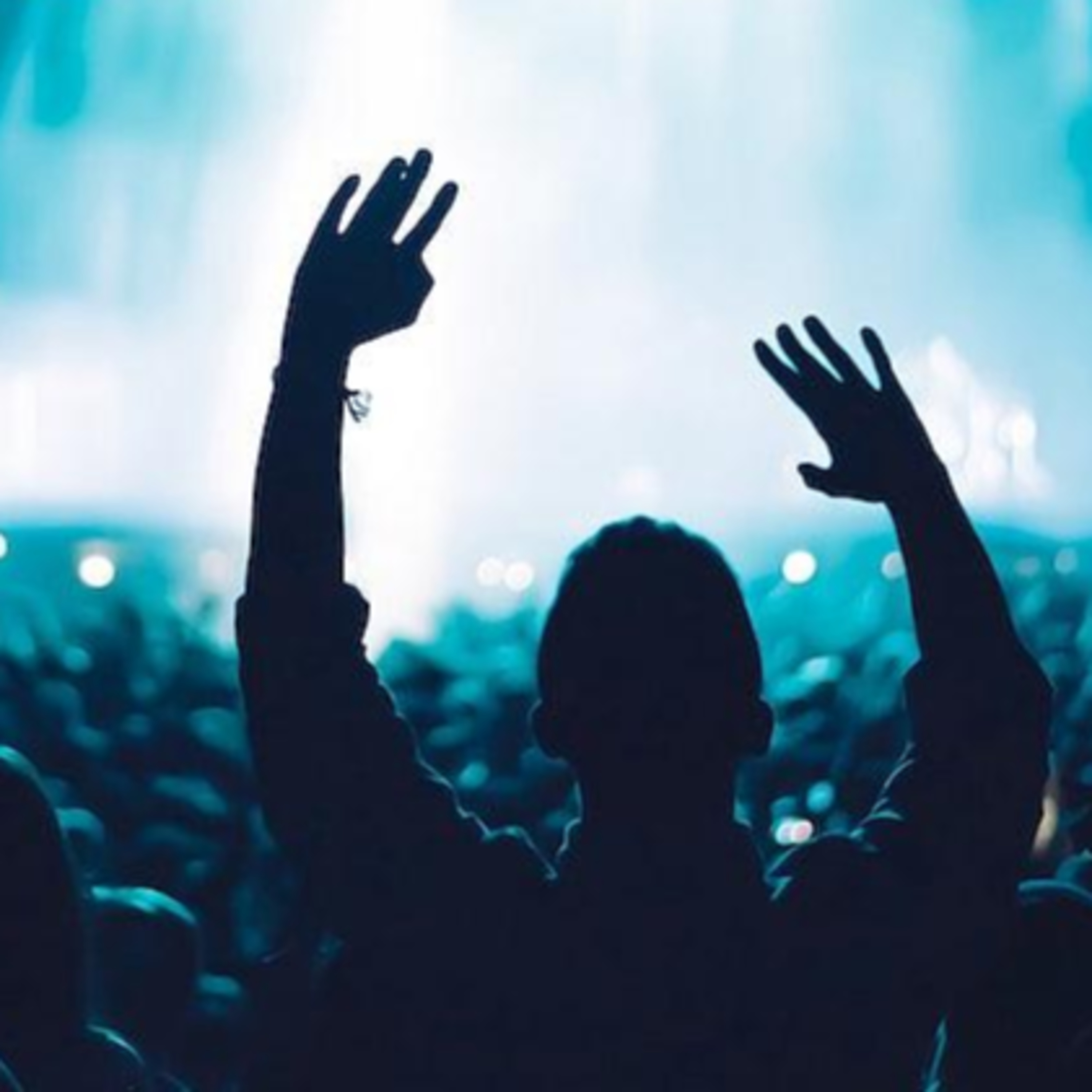 Festival Goers and Horrors